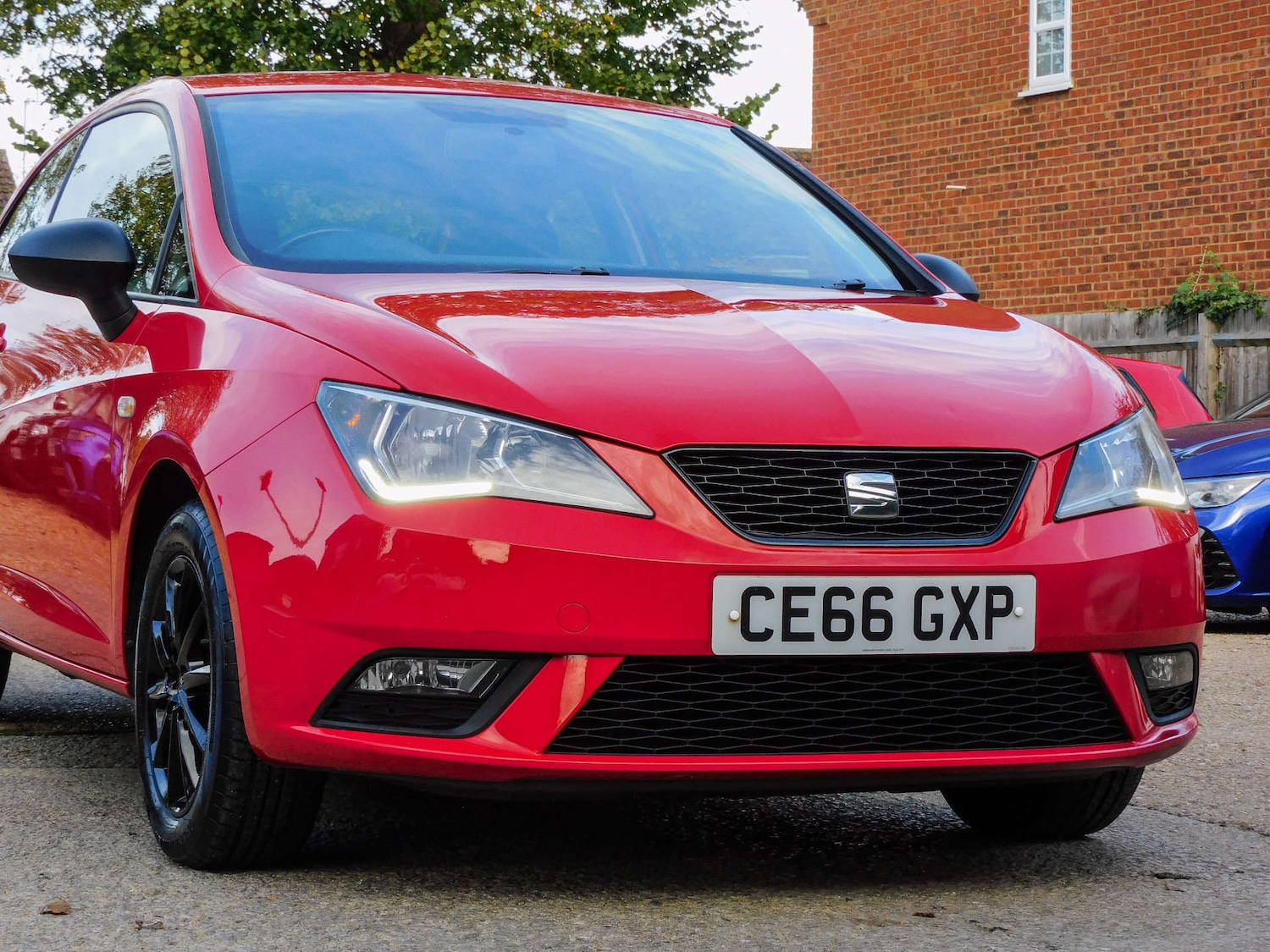 Used SEAT Ibiza 2016 for sale - 76479002: Photo 7
