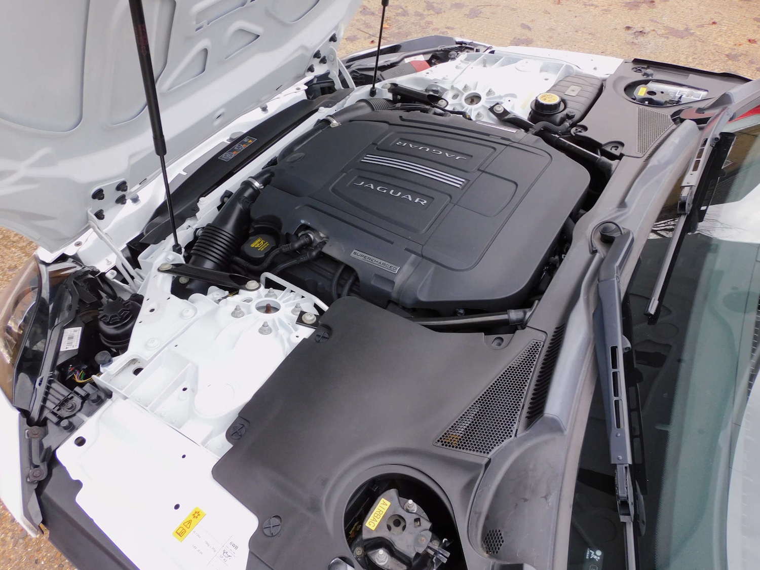 Used Jaguar F-Type 2014 for sale - 76863441: Photo 49