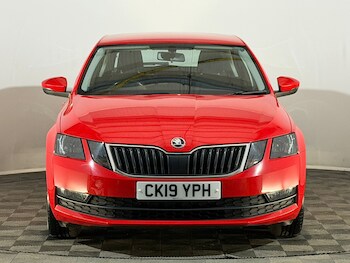 Used Skoda Octavia 2019 for sale - 78434314: Photo