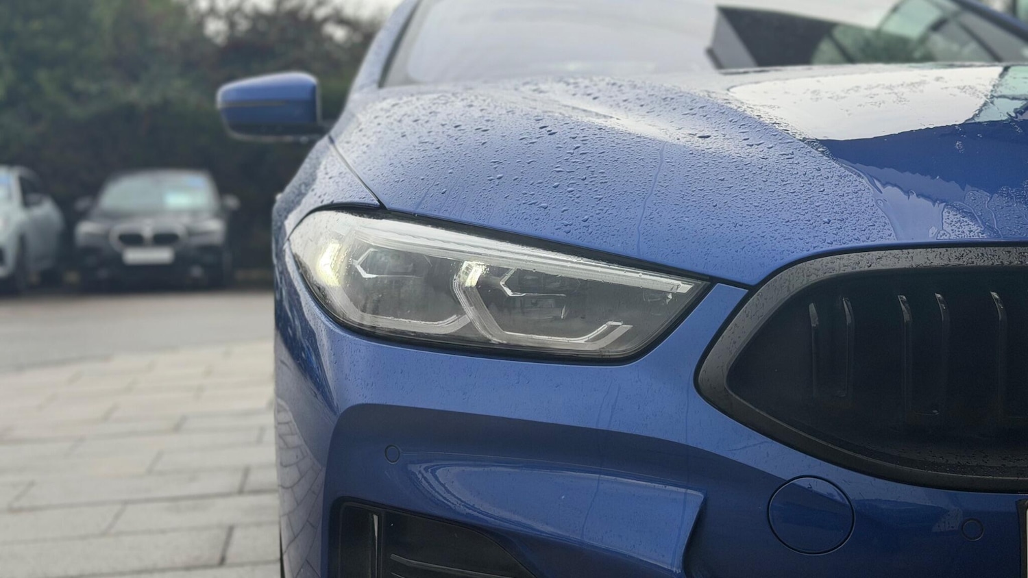 Used BMW 8 Series 2022 for sale - 77539444: Photo 18