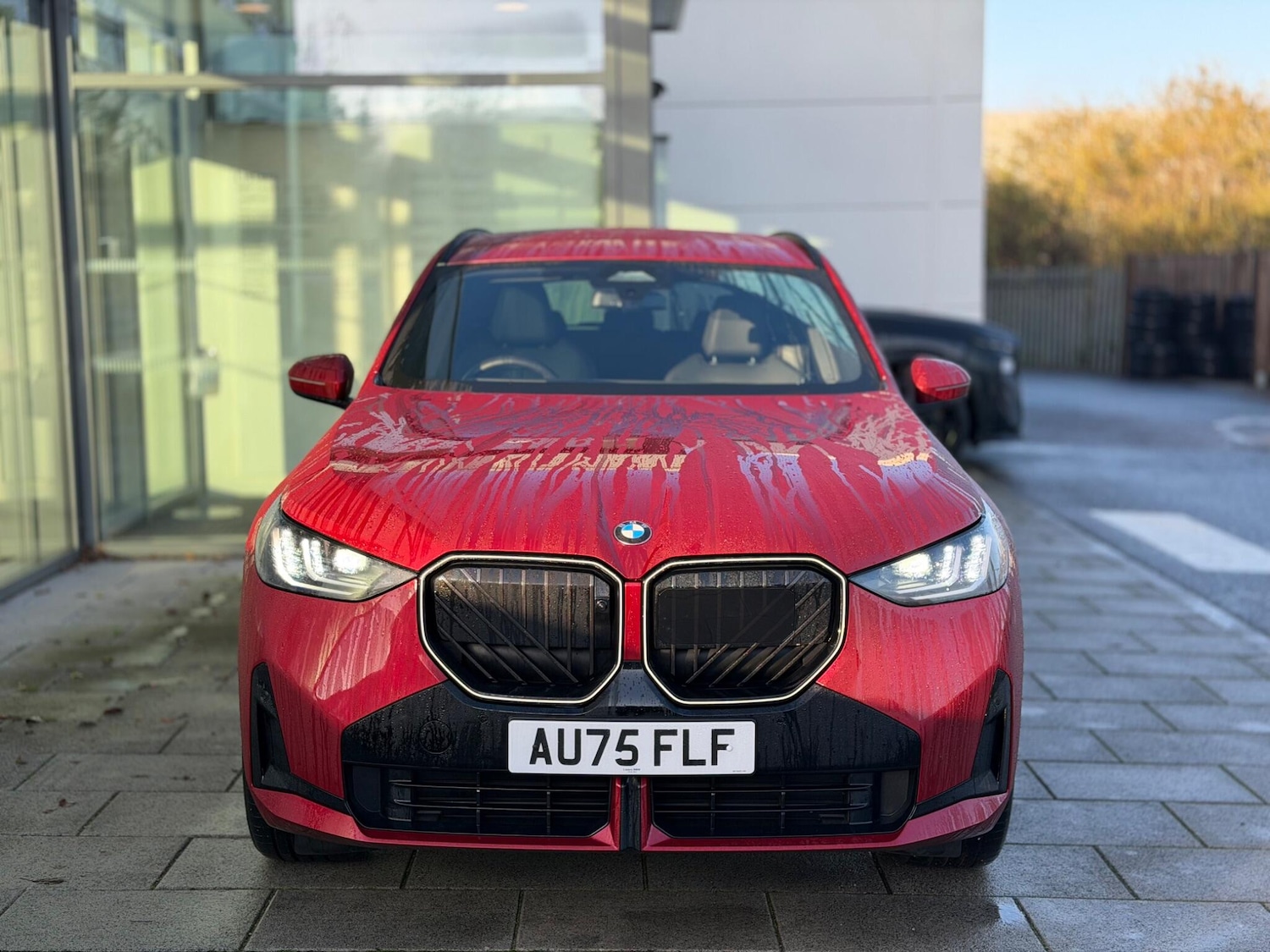 Used BMW X3 2025 for sale - 76800509: Photo 20