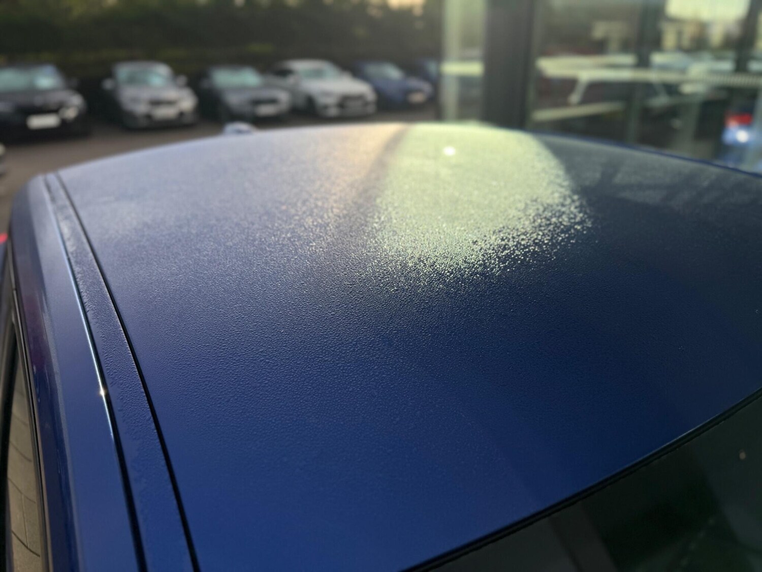 Used BMW iX2 2025 for sale - 76800525: Photo 18