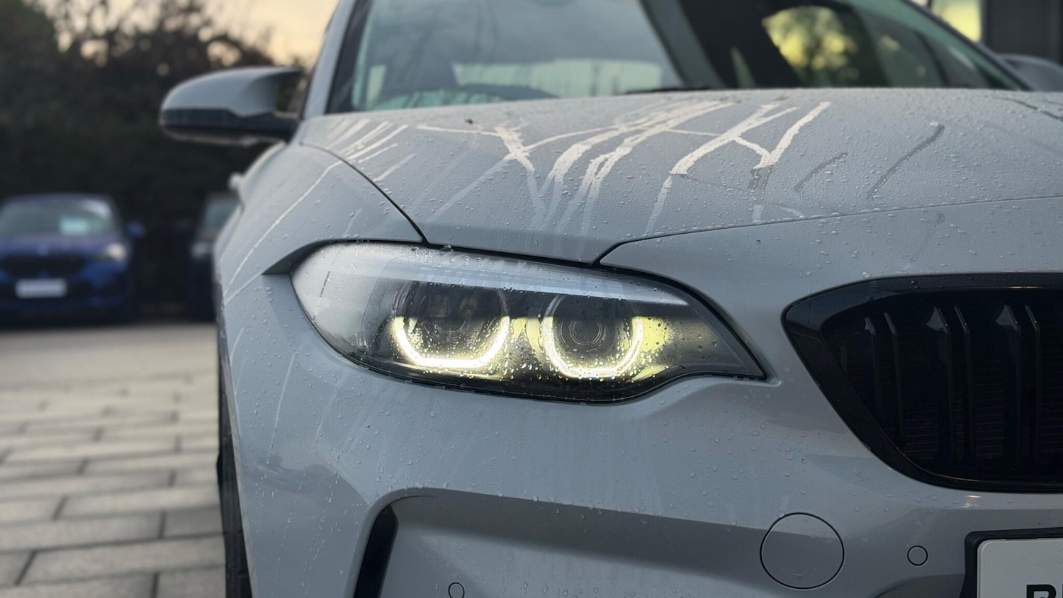 Used BMW M2 2019 for sale - 77030922: Photo 16