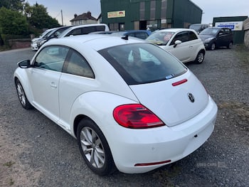 Used Volkswagen Beetle 2015 for sale - 79646803: Photo