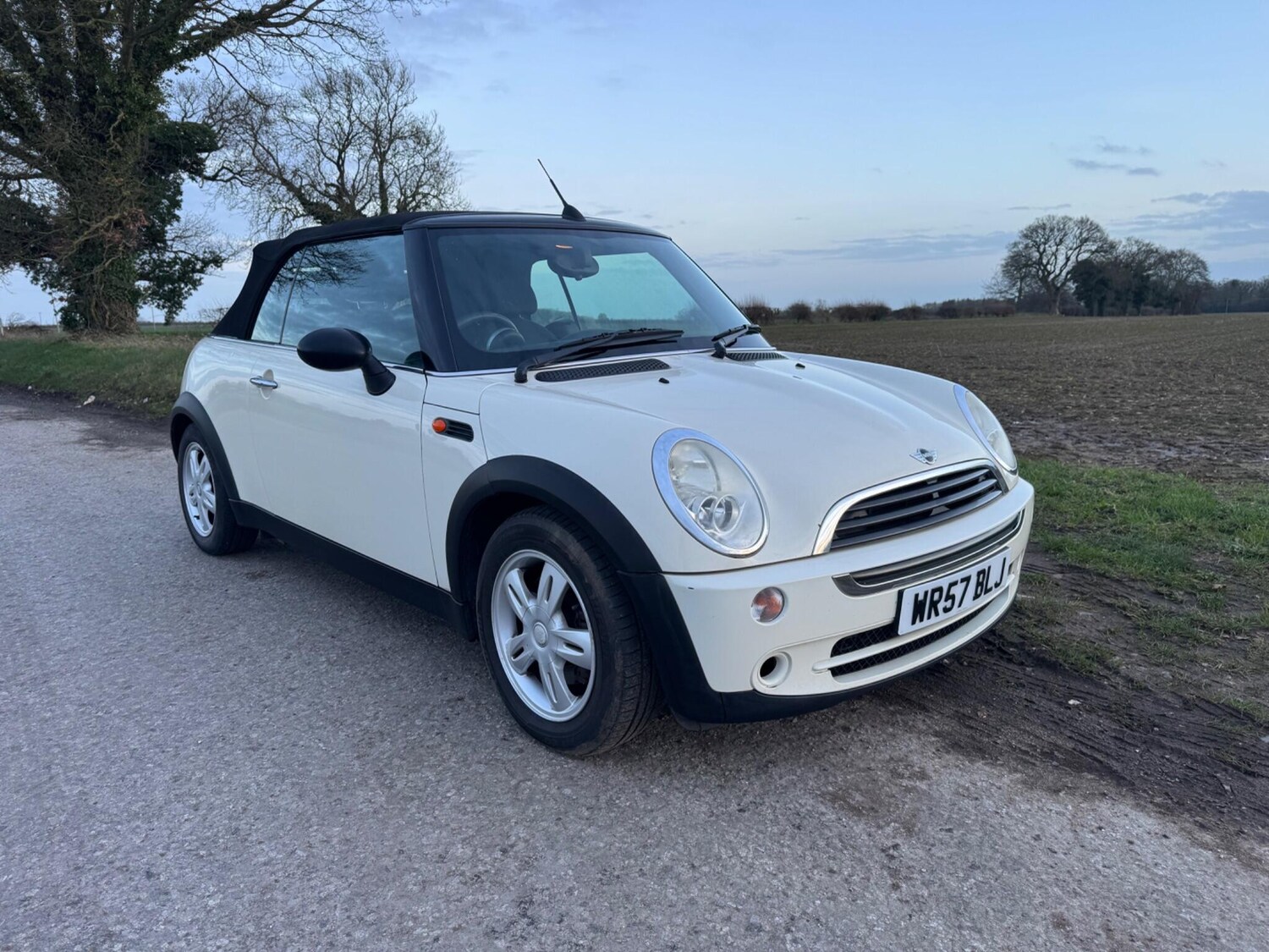 Used MINI Convertible for sale - 77970715: Photo 8