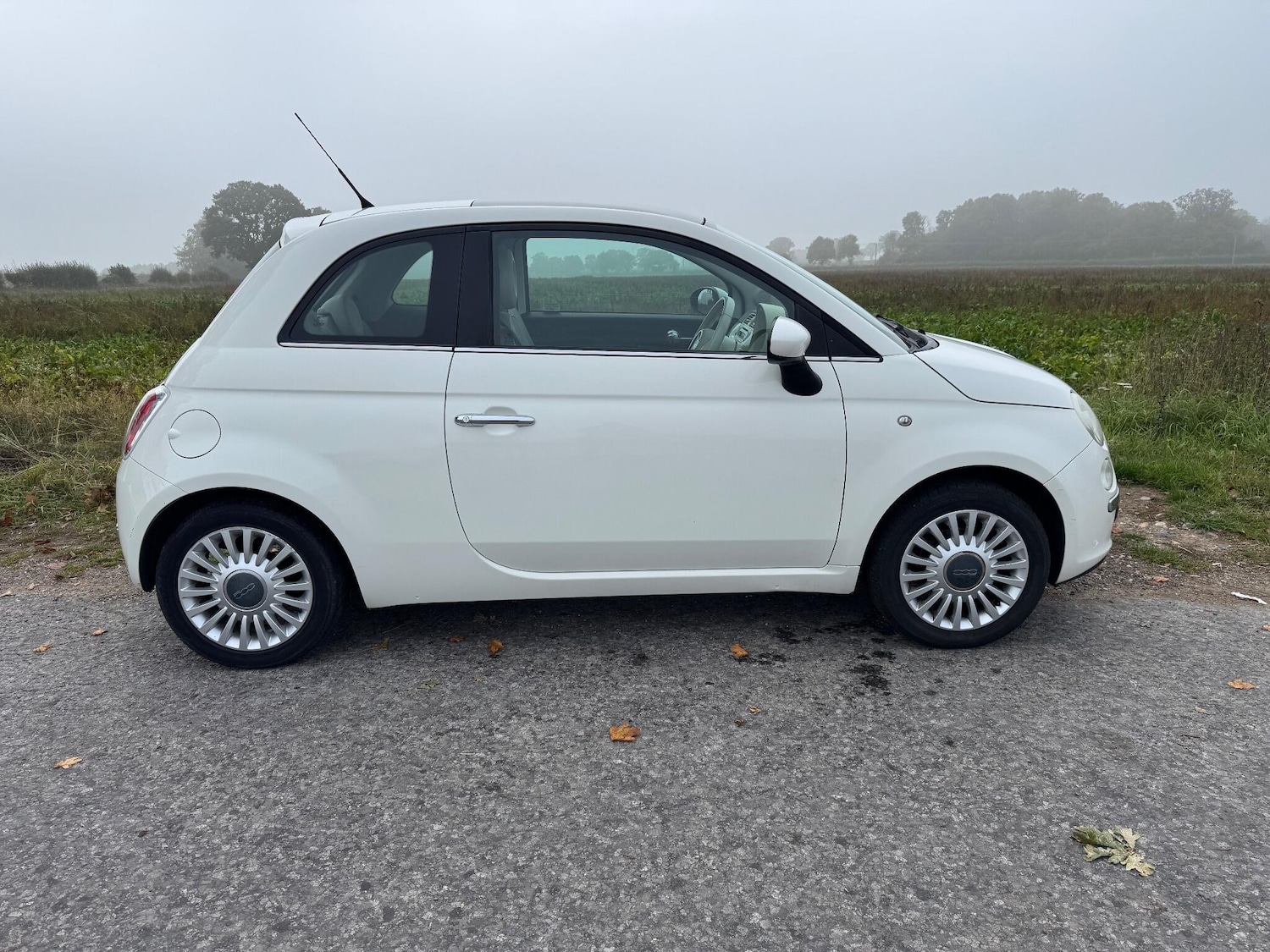 Used Fiat 500 2008 for sale - 76251419: Photo 43