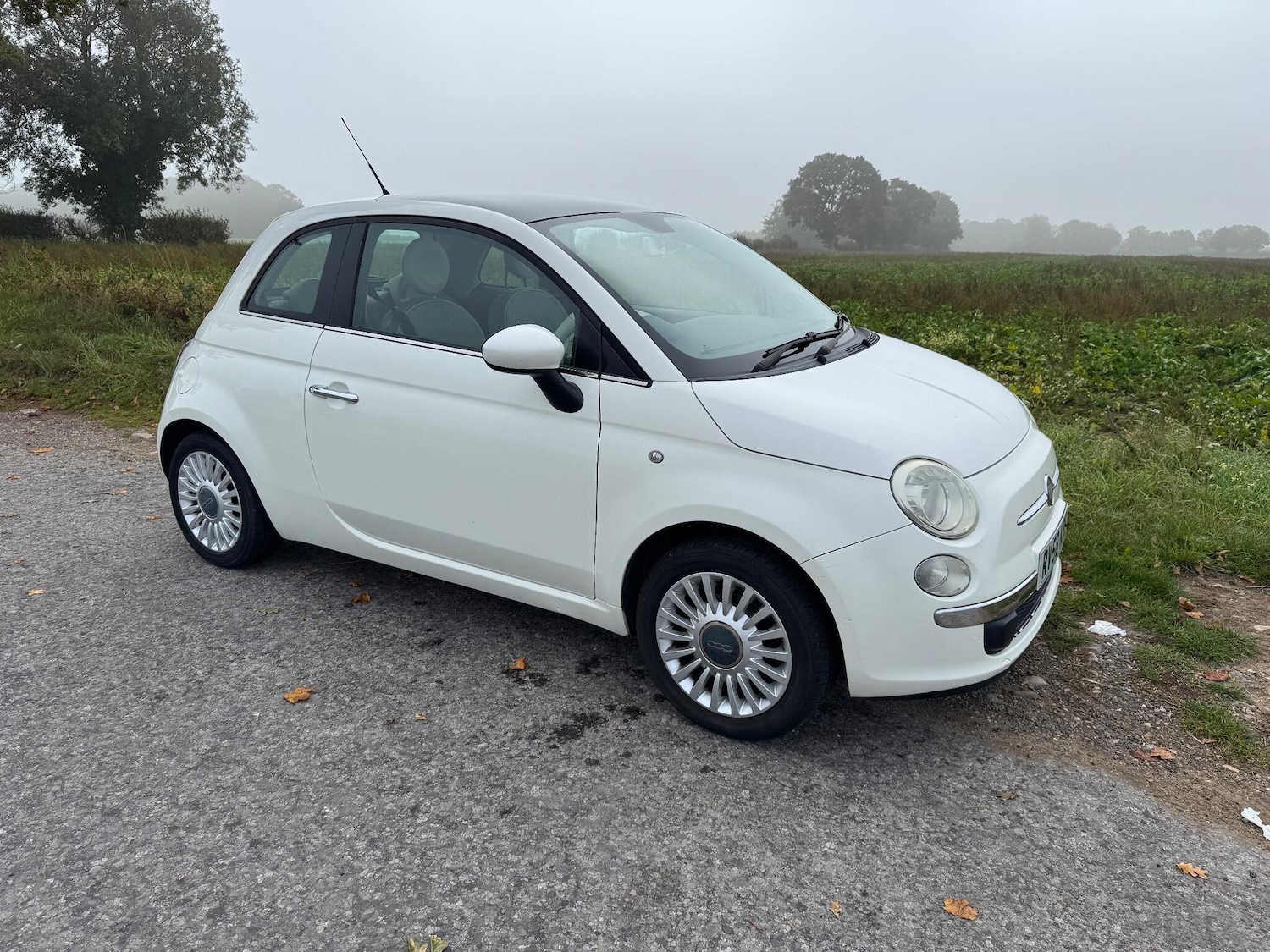 Used Fiat 500 2008 for sale - 76251419: Photo 6