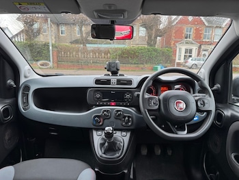 Used Fiat Panda 2021 for sale - 77462103: Photo