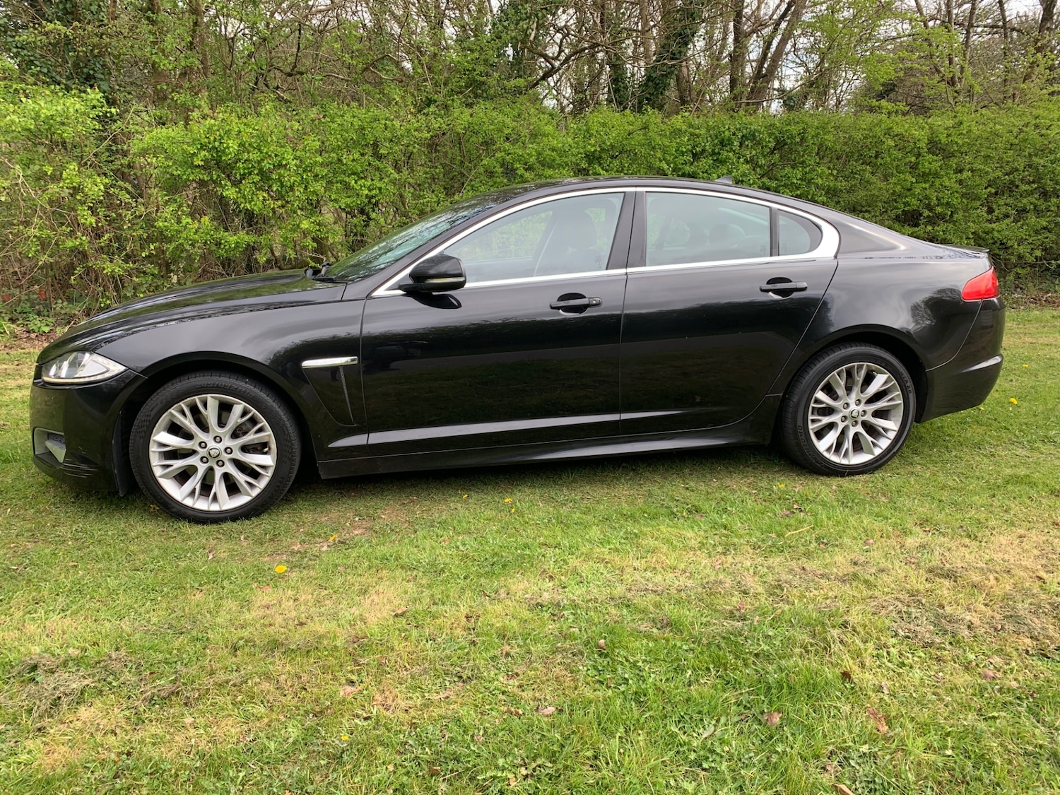Used Jaguar XF 2013 for sale - 78078542: Photo 5