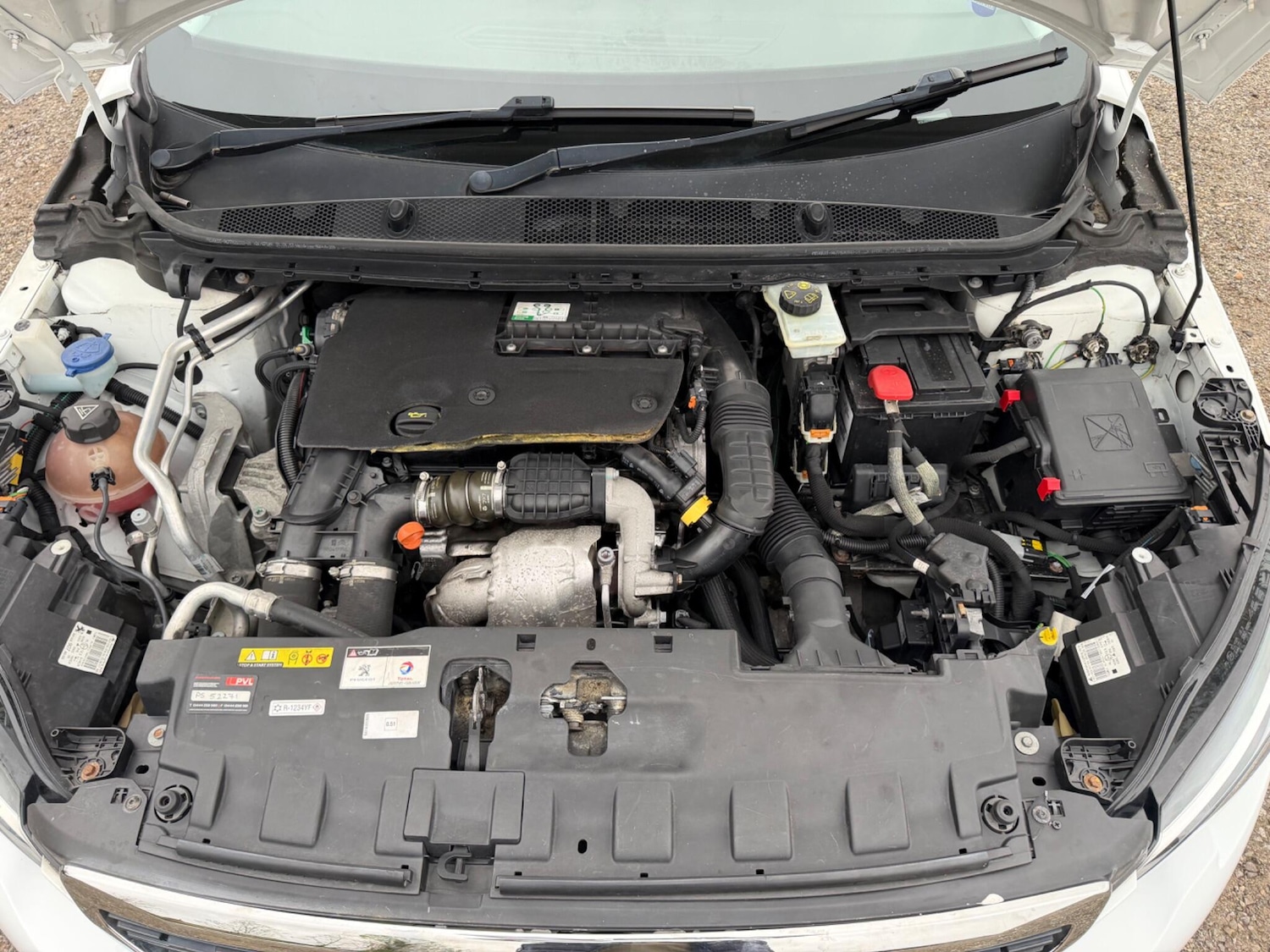 Used Peugeot 308 2018 for sale - 78185508: Photo 37