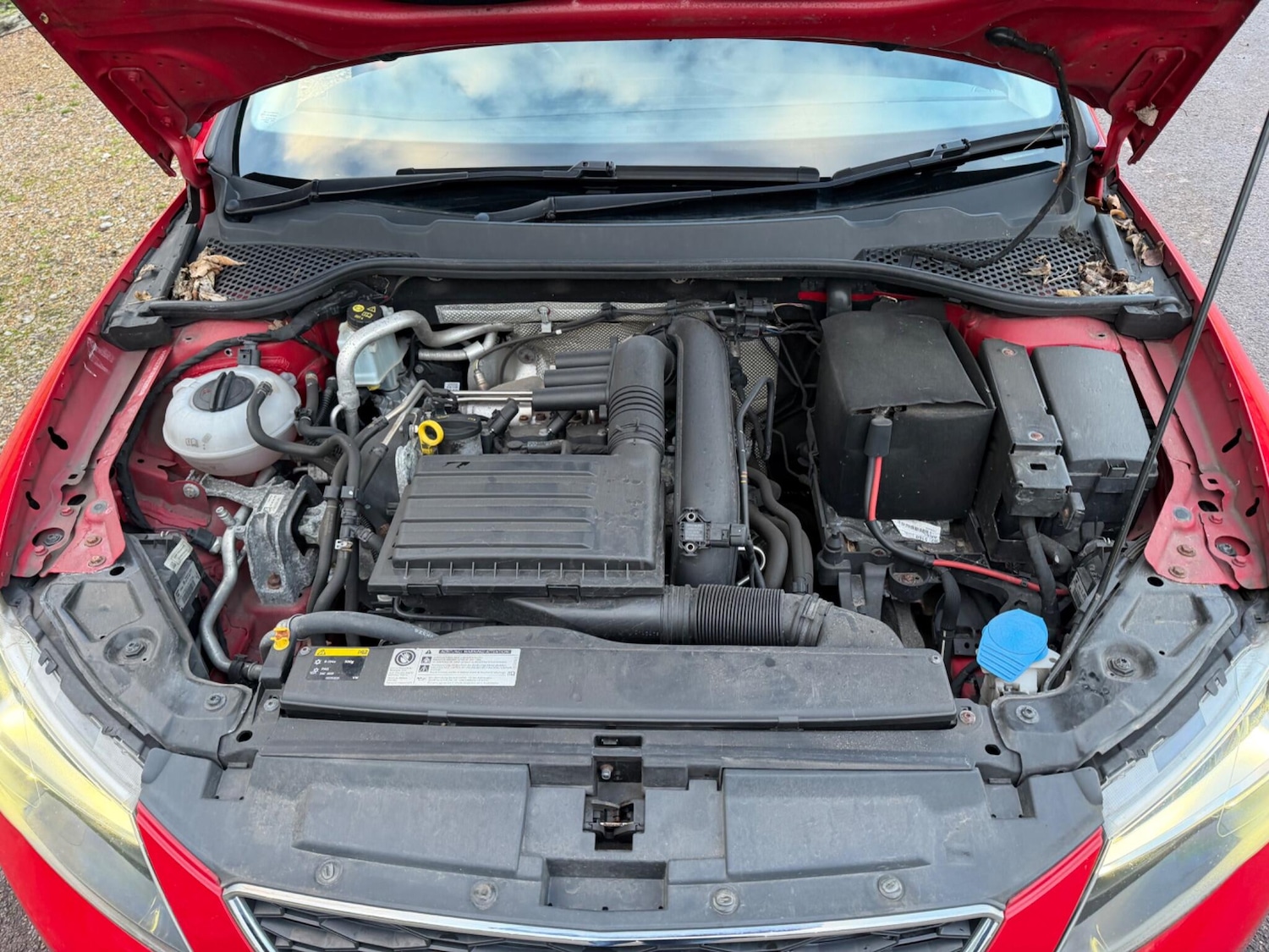 Used SEAT Leon for sale - 77440537: Photo 37