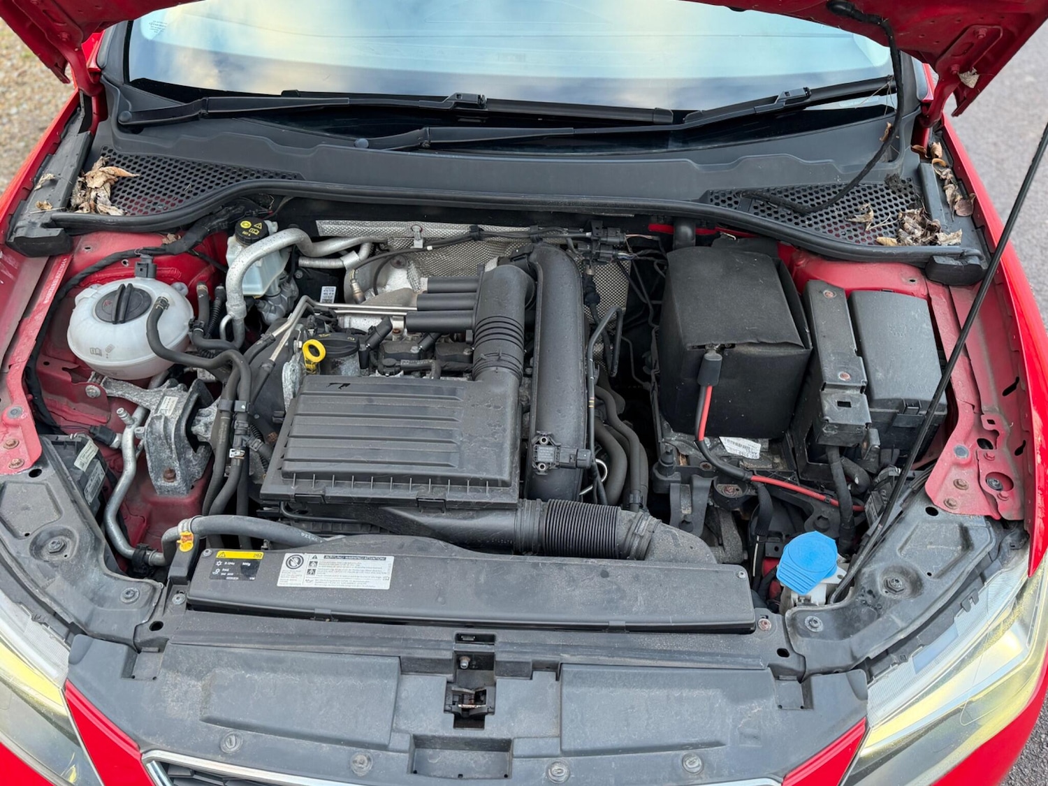 Used SEAT Leon for sale - 77440537: Photo 39