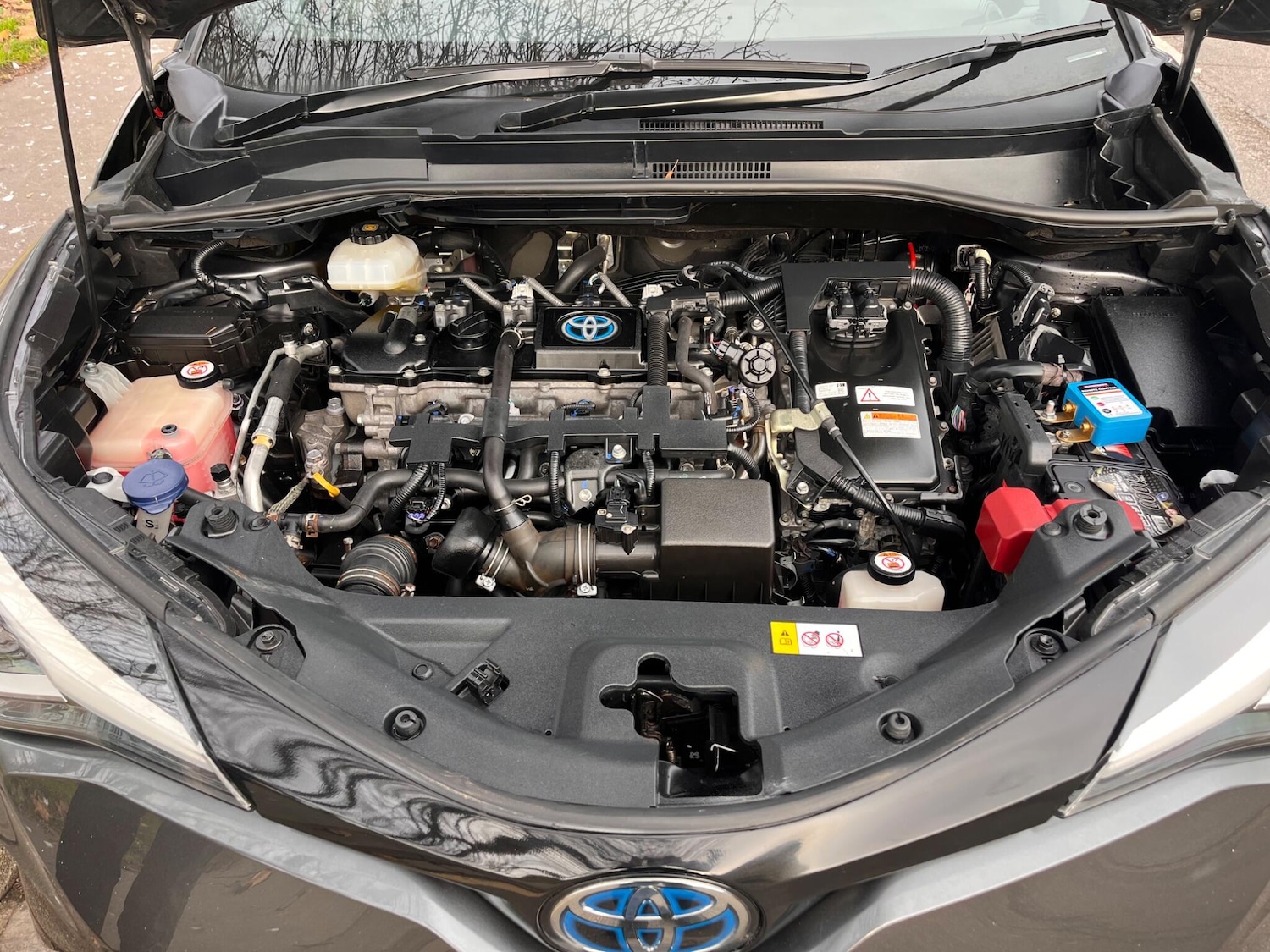 Used Toyota C-HR 2020 for sale - 77427574: Photo 15