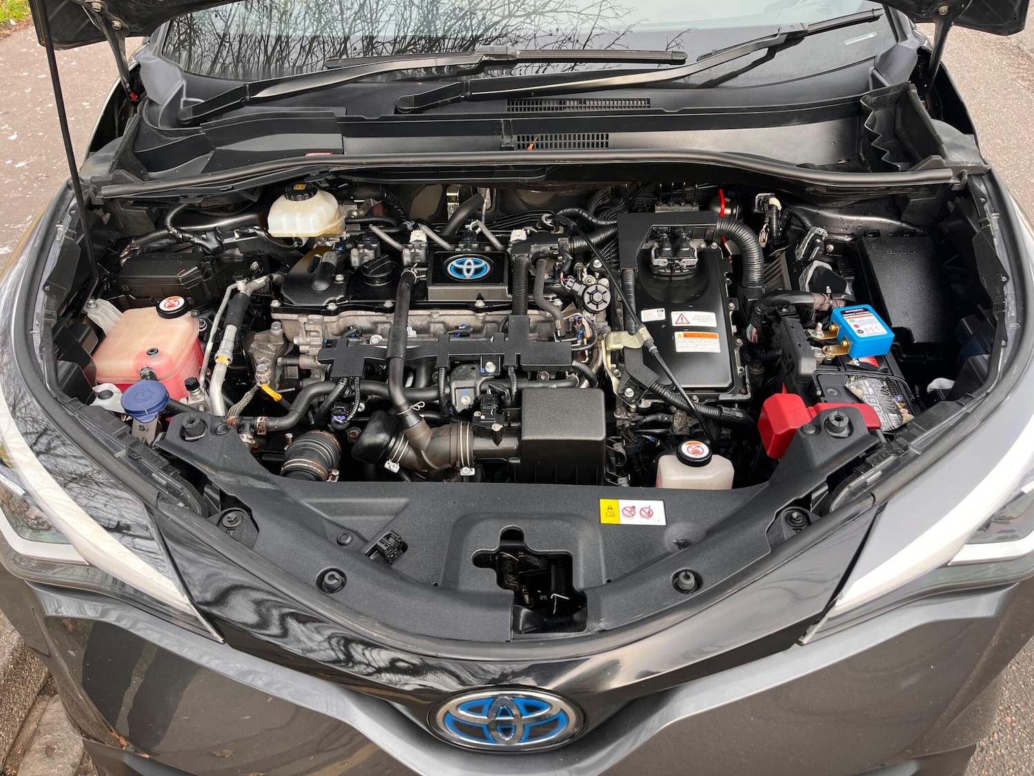 Used Toyota C-HR 2020 for sale - 77427574: Photo 17