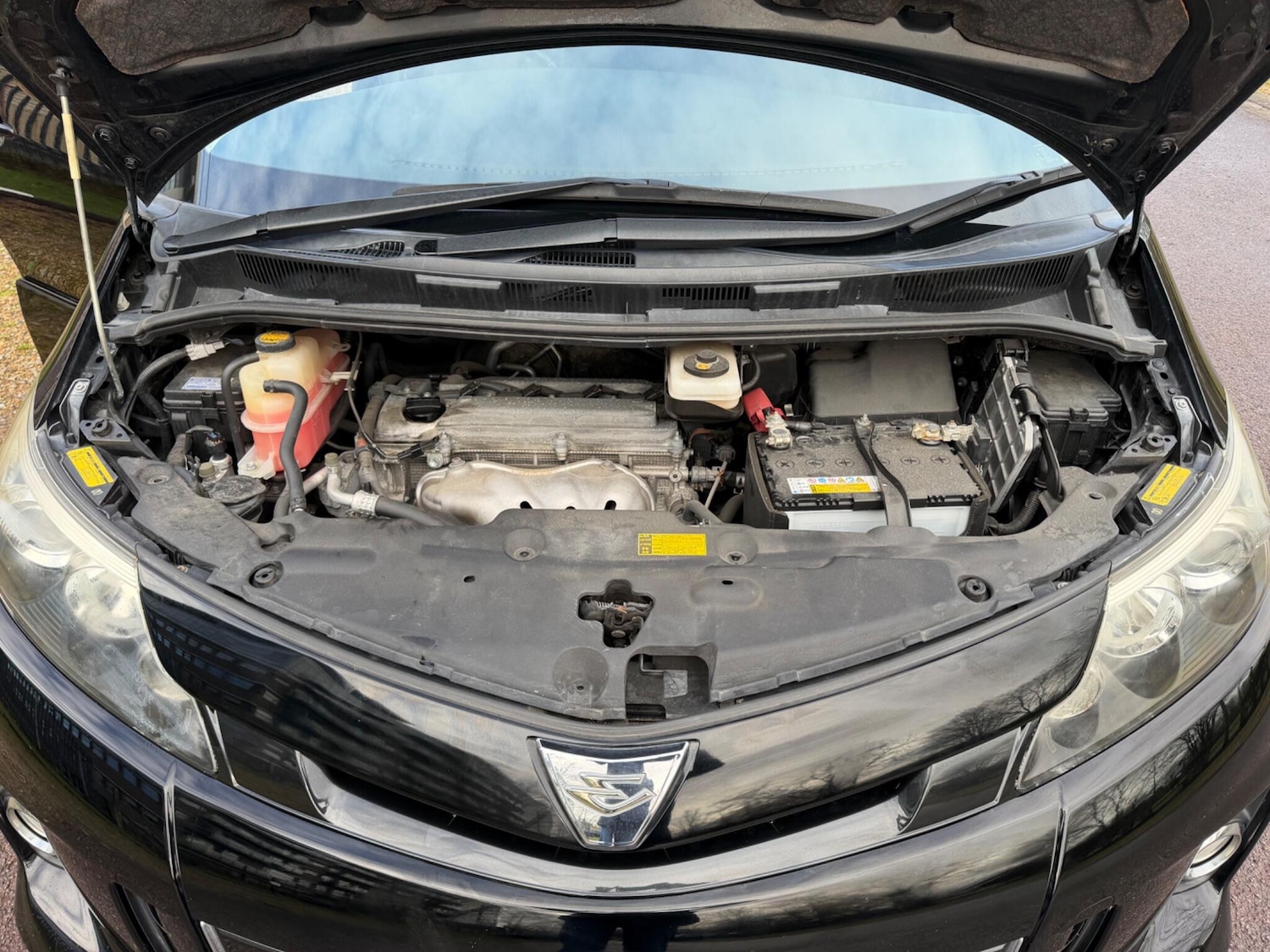 Used Toyota Estima for sale - 77395713: Photo 35