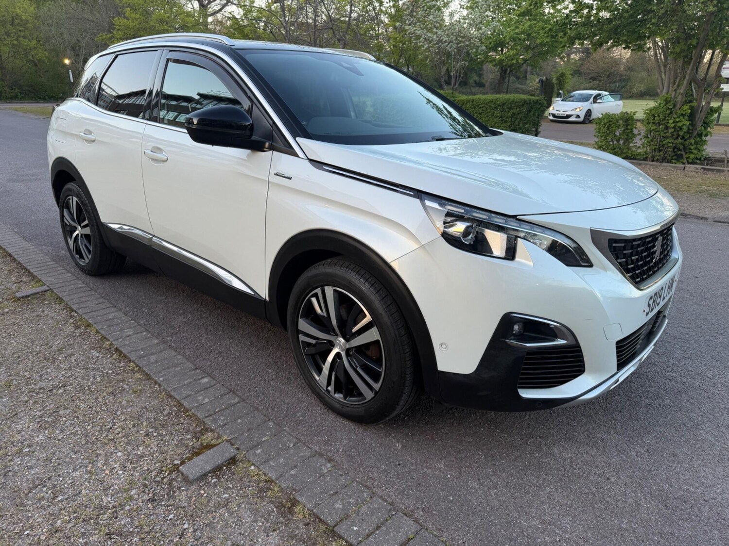 Used Peugeot 3008 2019 for sale - 78157141: Photo 16