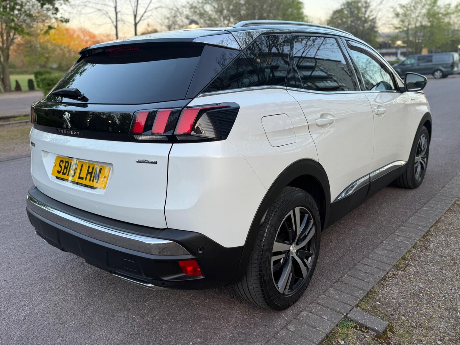 Used Peugeot 3008 2019 for sale - 78157141: Photo 25