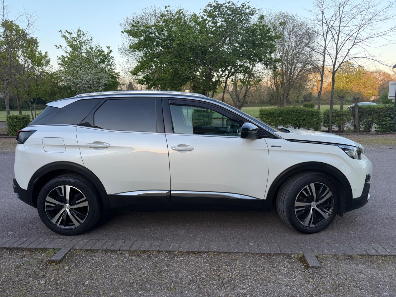 Used Peugeot 3008 2019 for sale - 78157141: Photo 3
