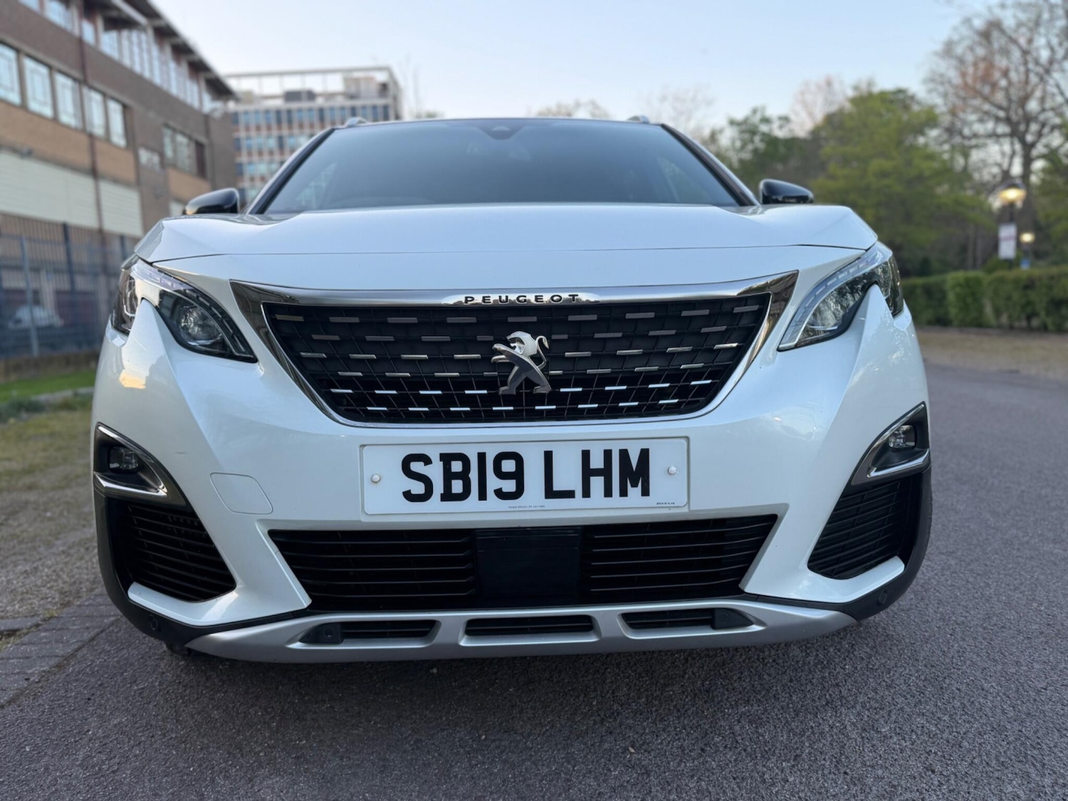 Used Peugeot 3008 2019 for sale - 78157141: Photo 6