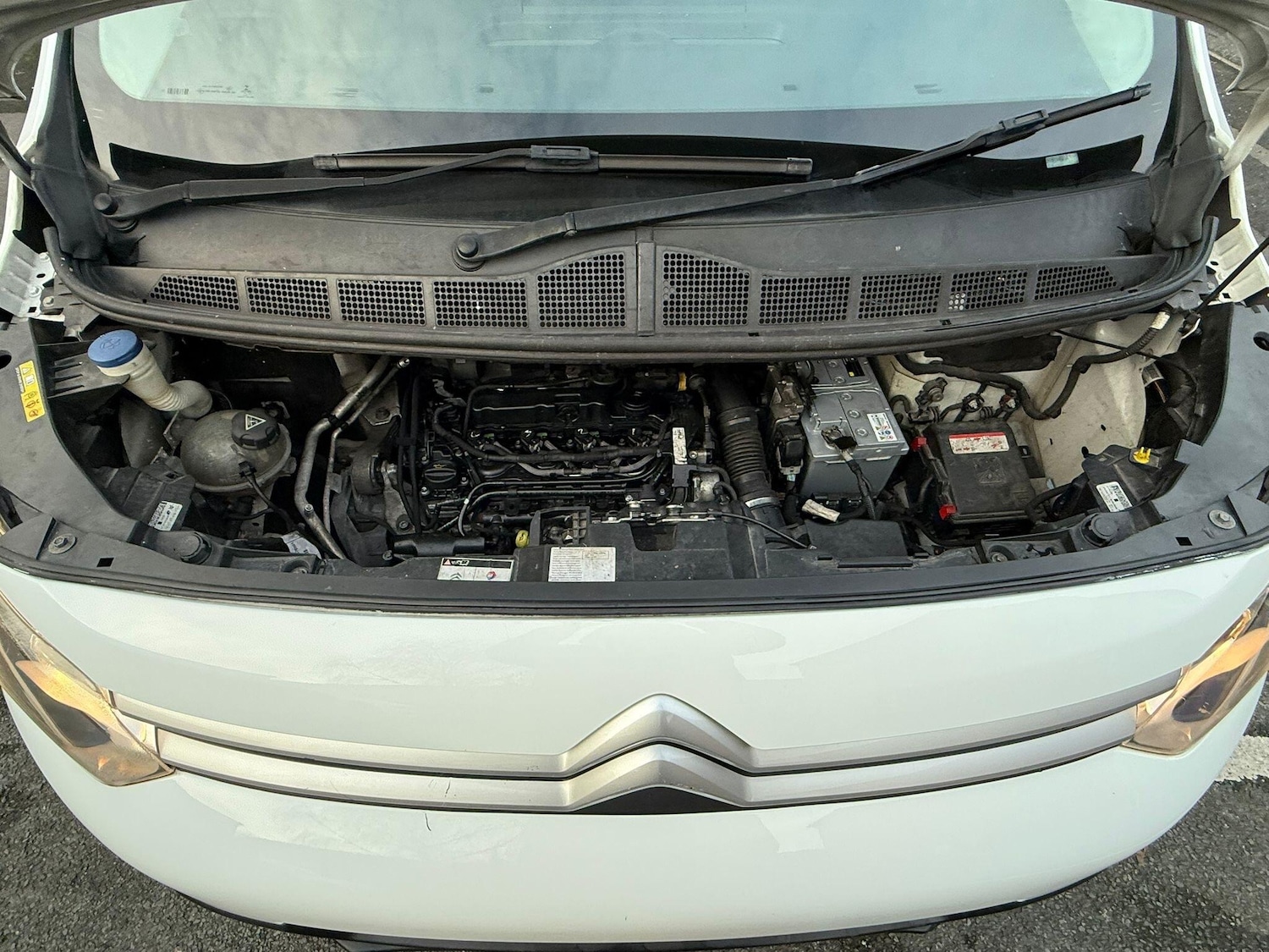 Used Citroen Dispatch 2018 for sale - 76900093: Photo 5