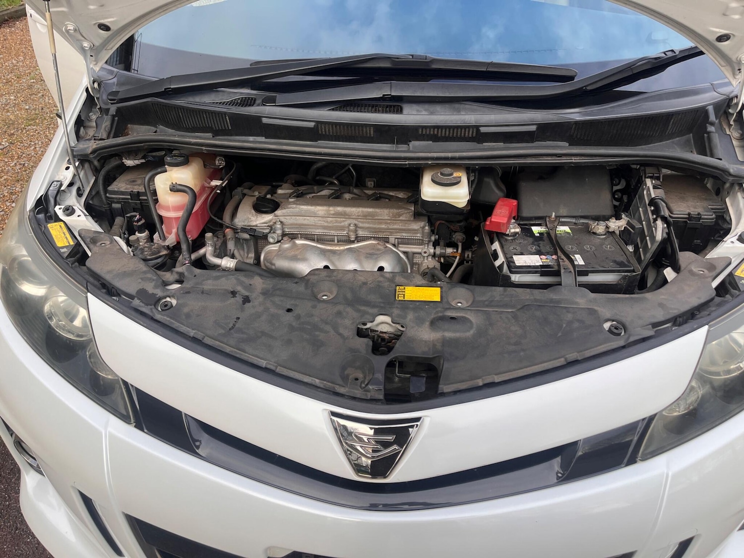 Used Toyota Estima for sale - 77823816: Photo 57