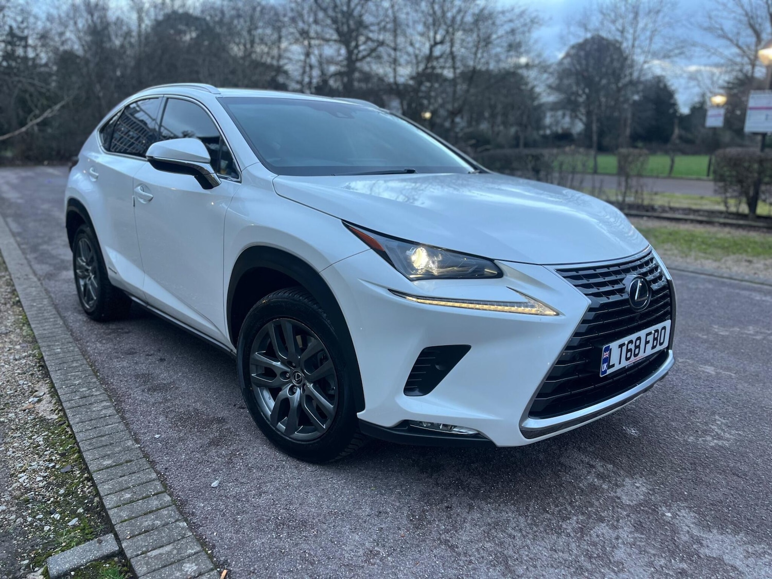 Used Lexus NX 2018 for sale - 77377014: Photo 17