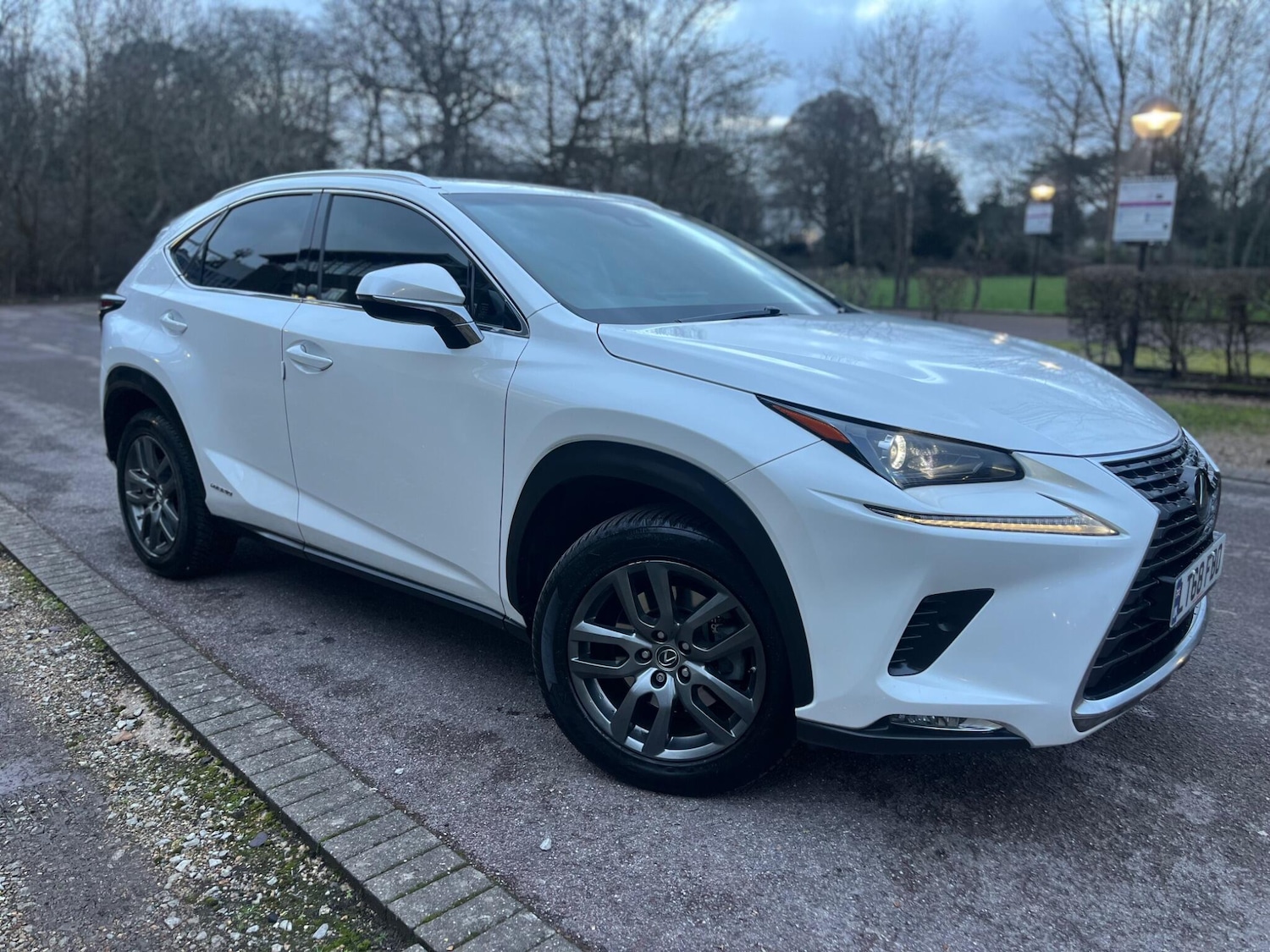 Used Lexus NX 2018 for sale - 77377014: Photo 22