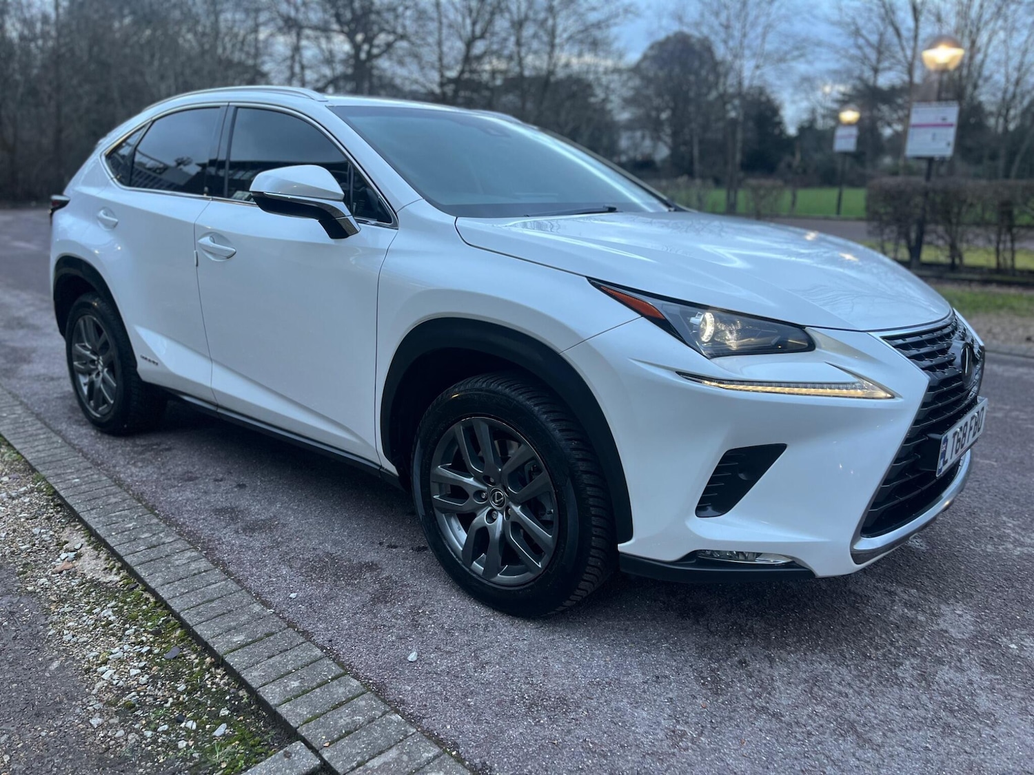 Used Lexus NX 2018 for sale - 77377014: Photo 6