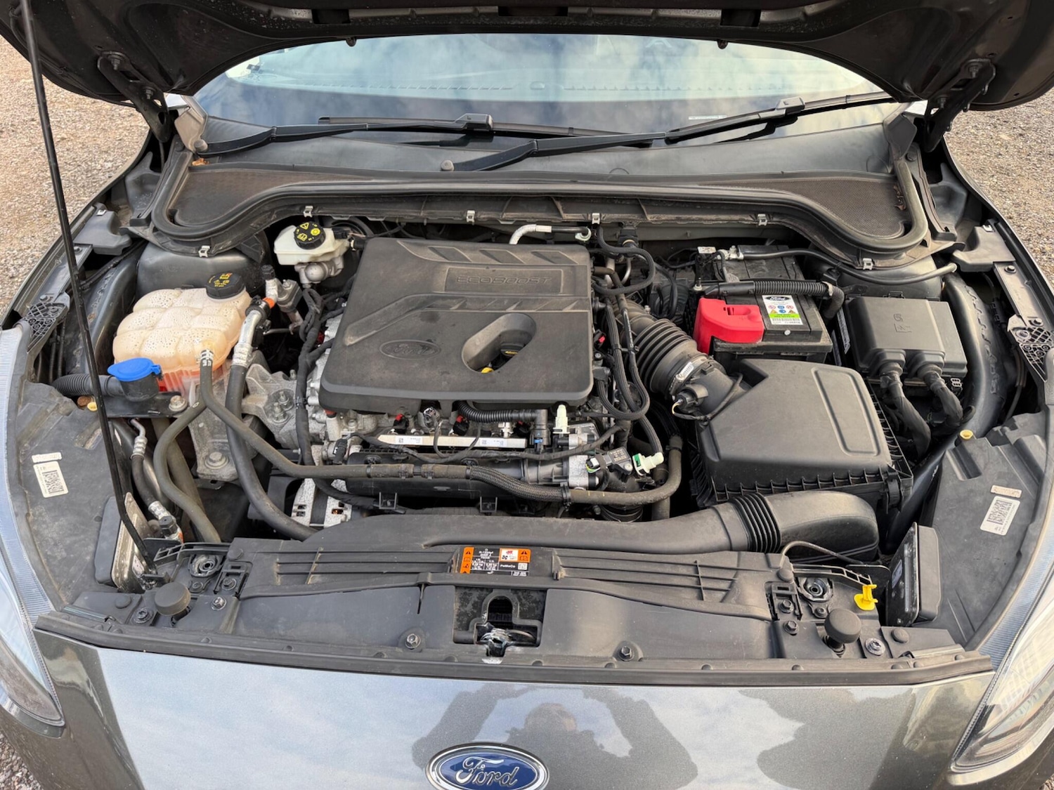 Used Ford Focus 2020 for sale - 78033726: Photo 46