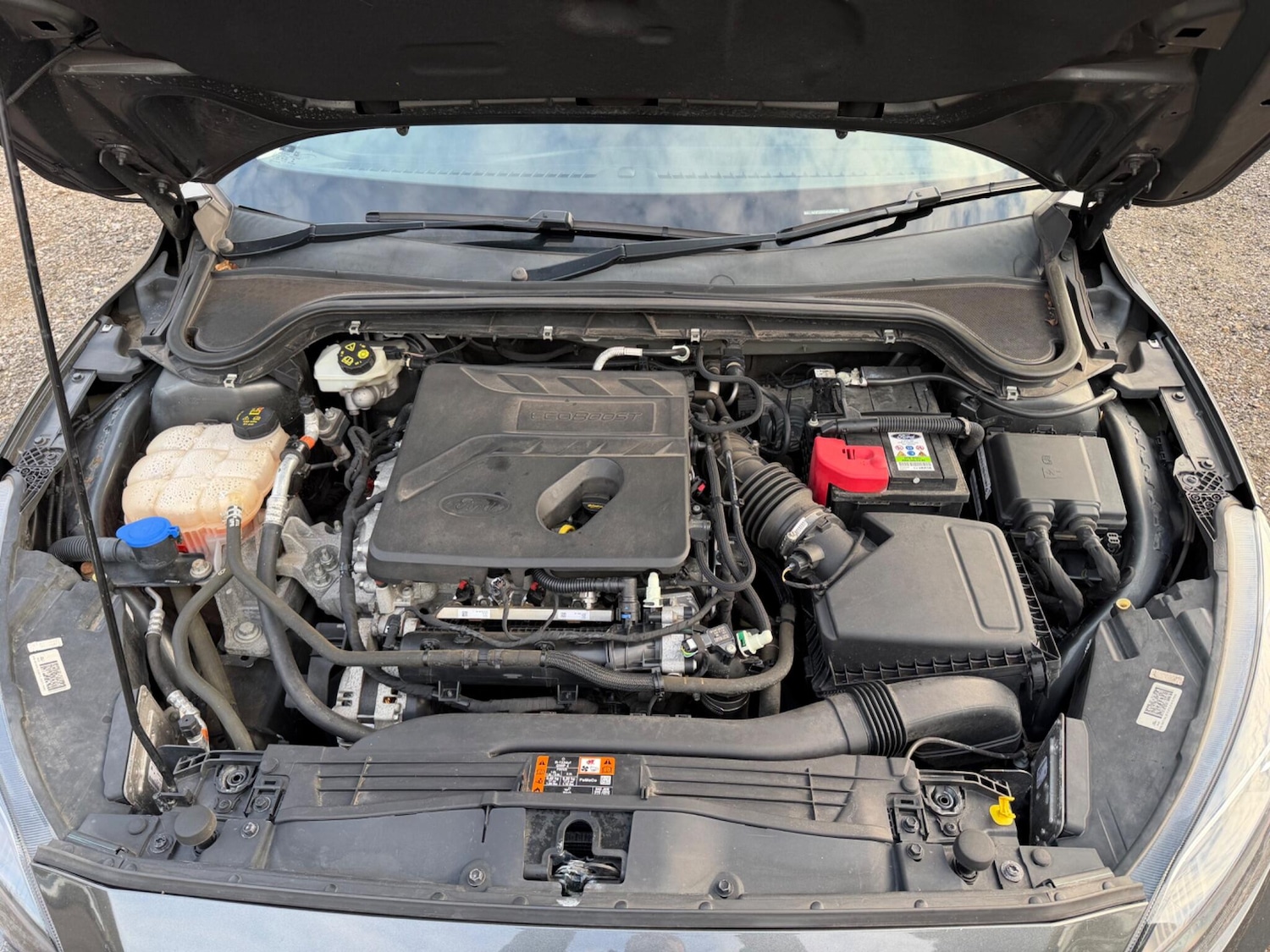 Used Ford Focus 2020 for sale - 78033726: Photo 47