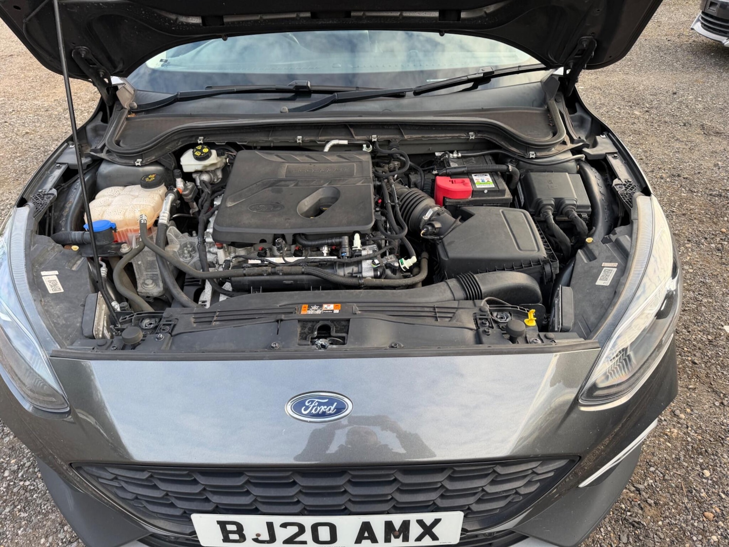 Used Ford Focus 2020 for sale - 78033726: Photo 48