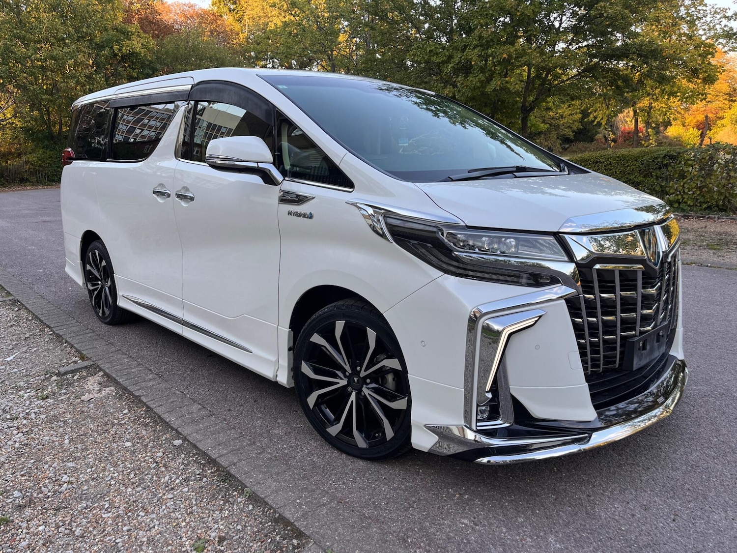 Used Toyota Alphard for sale - 76397956: Photo 14