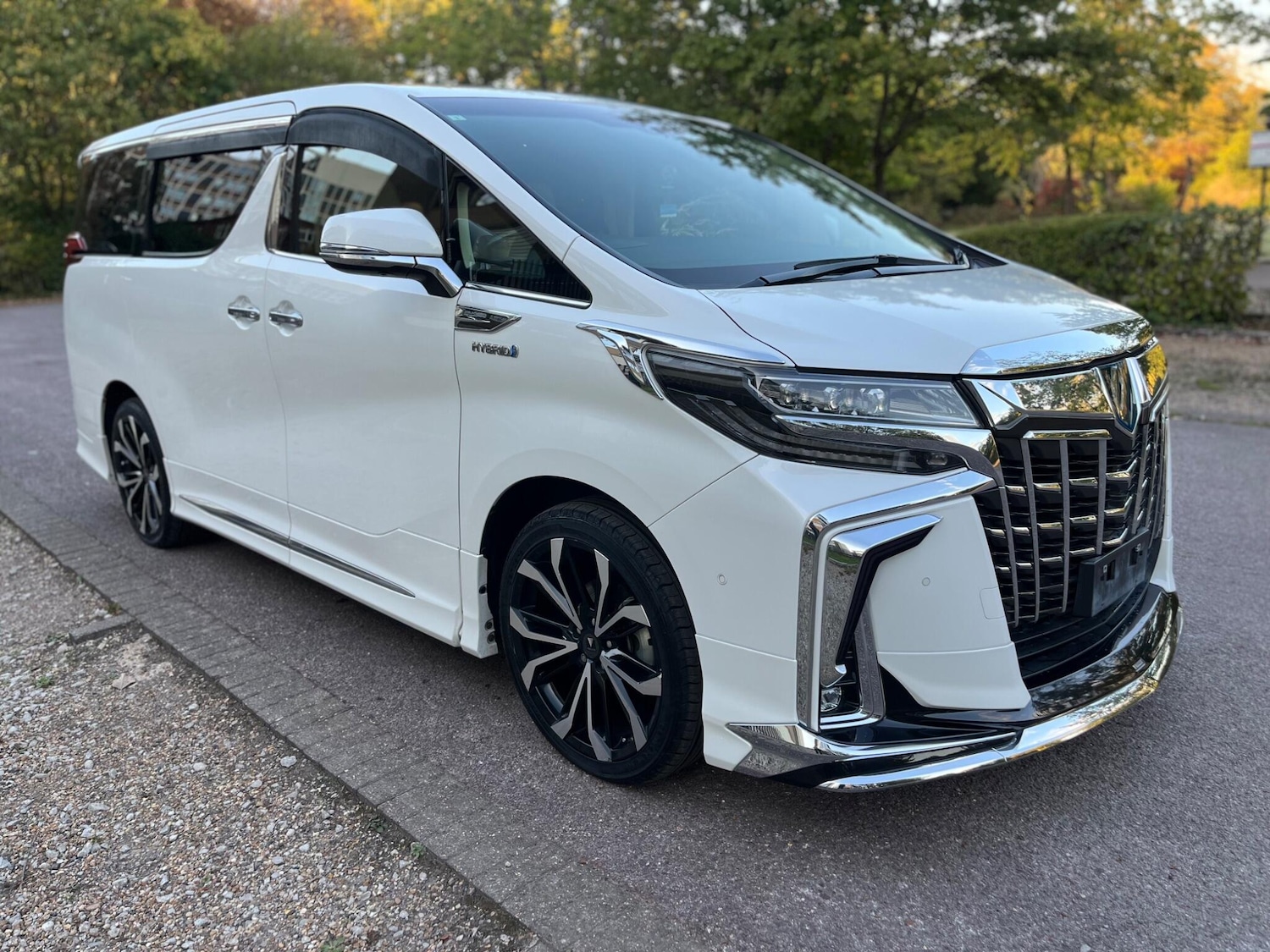 Used Toyota Alphard for sale - 76397956: Photo 30