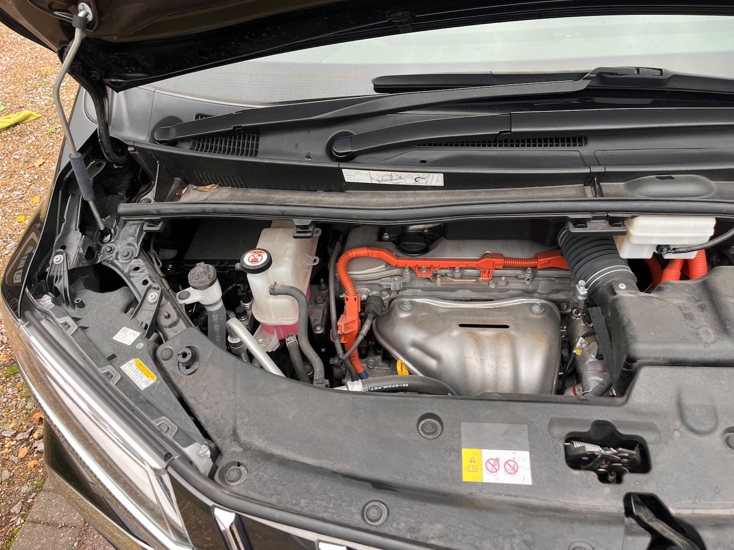 Used Toyota Alphard for sale - 76512259: Photo 60