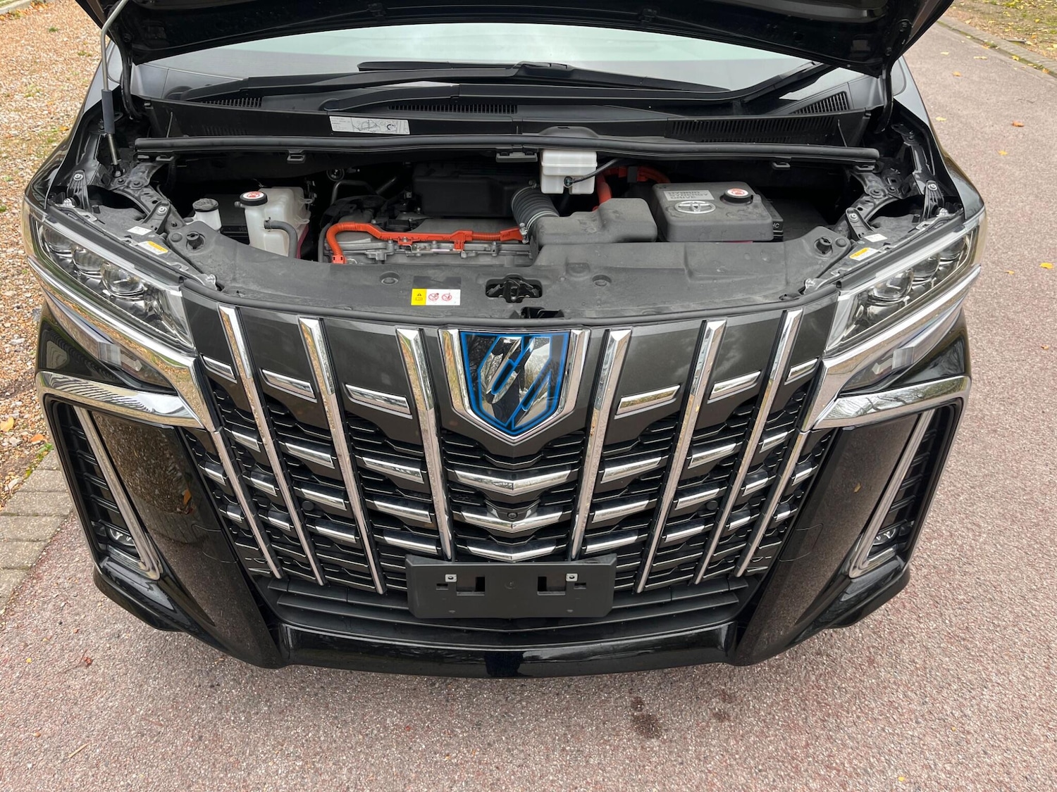 Used Toyota Alphard for sale - 76512259: Photo 62