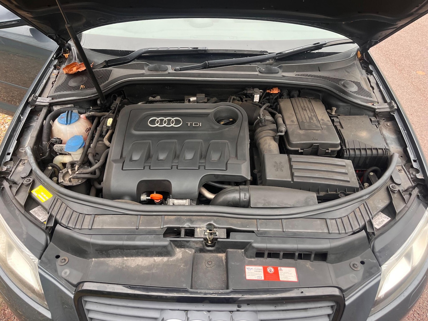 Used Audi A3 2010 for sale - 76592338: Photo 40