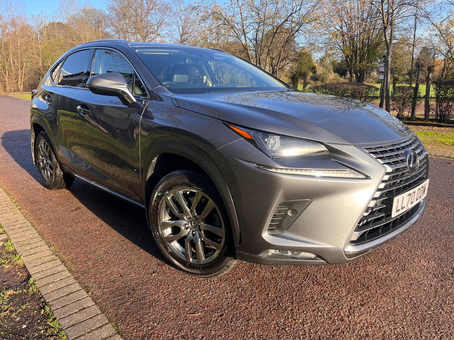 Used Lexus NX 2021 for sale - 77015574: Photo 14