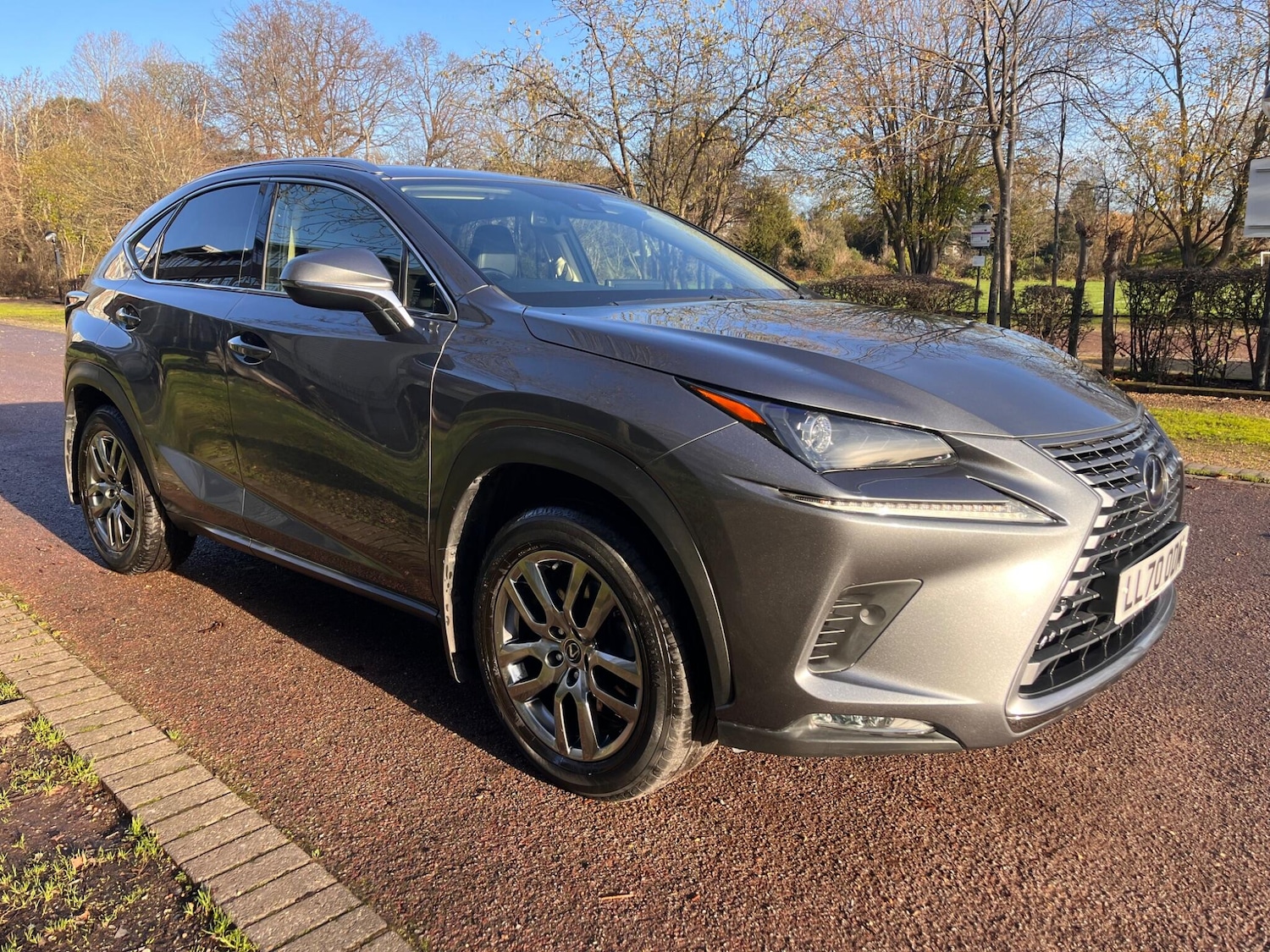 Used Lexus NX 2021 for sale - 77015574: Photo 16