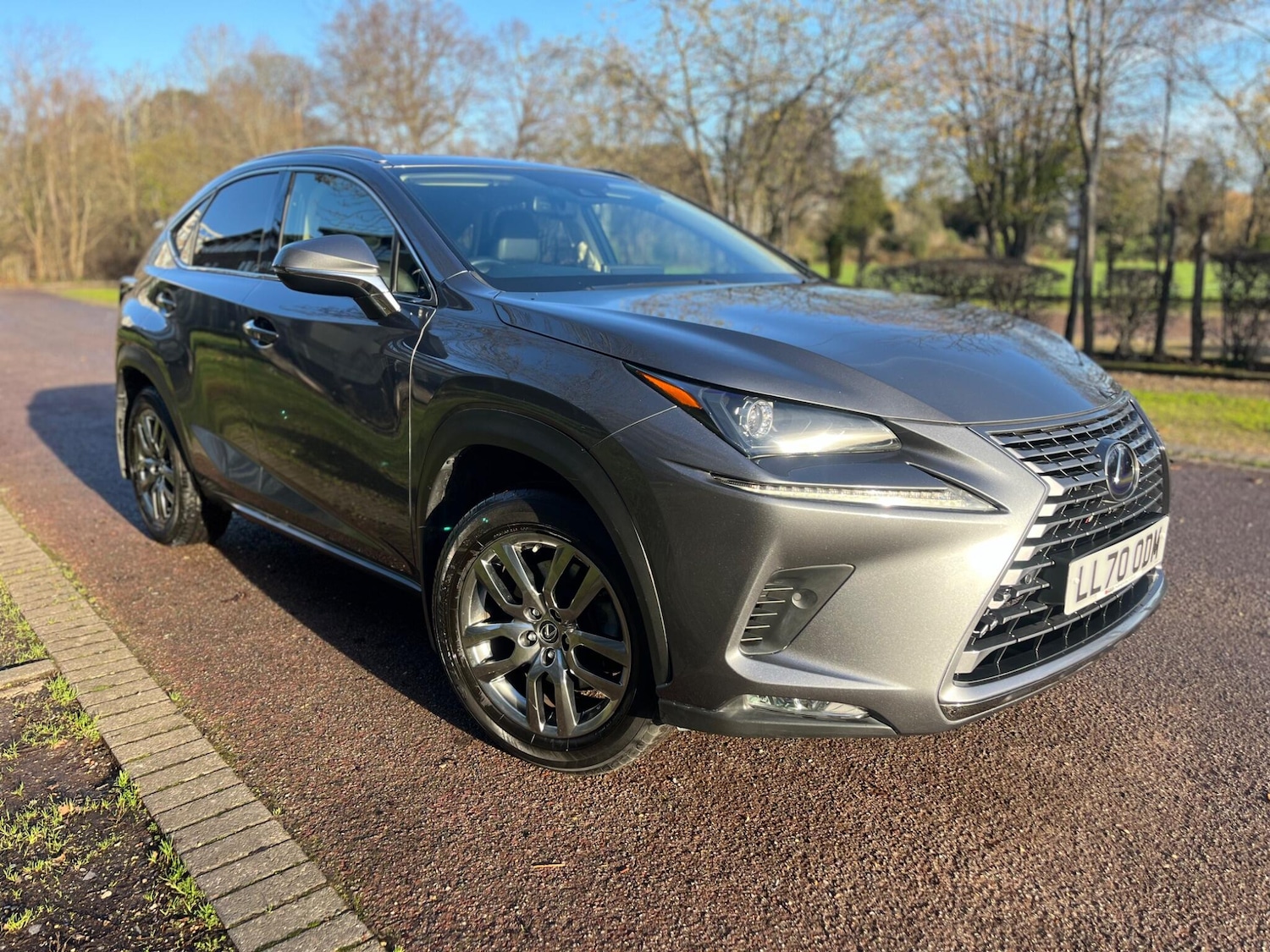 Used Lexus NX 2021 for sale - 77015574: Photo 2