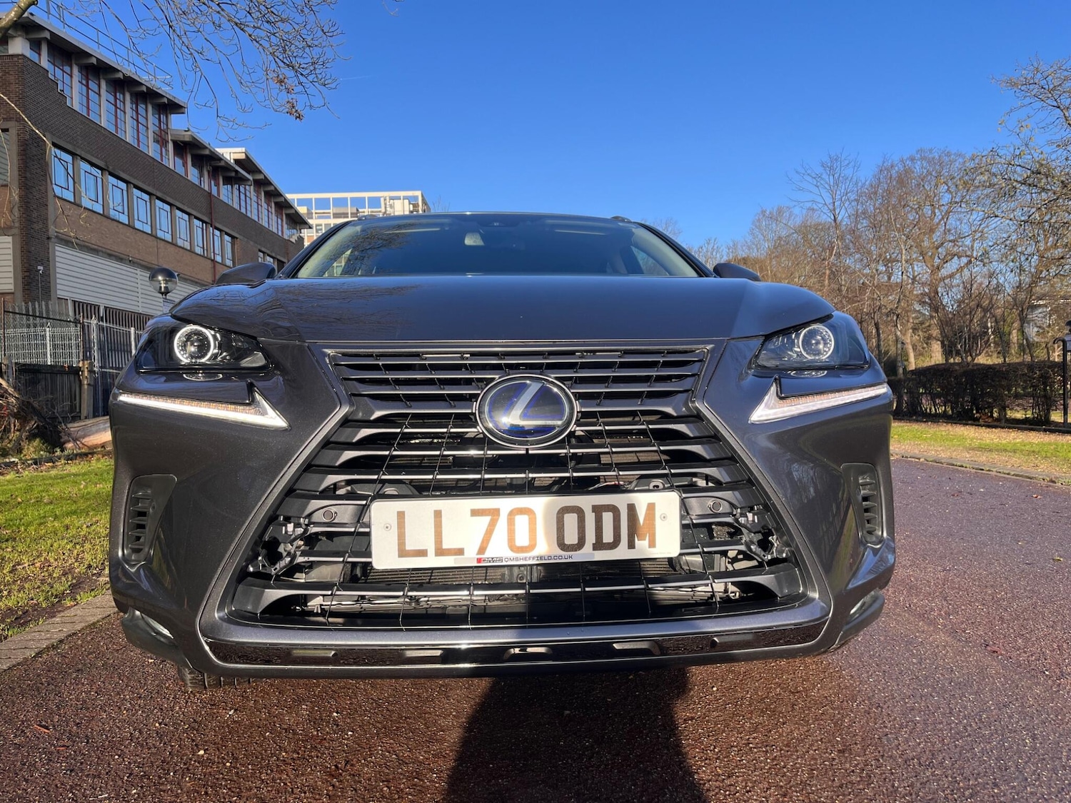 Used Lexus NX 2021 for sale - 77015574: Photo 3