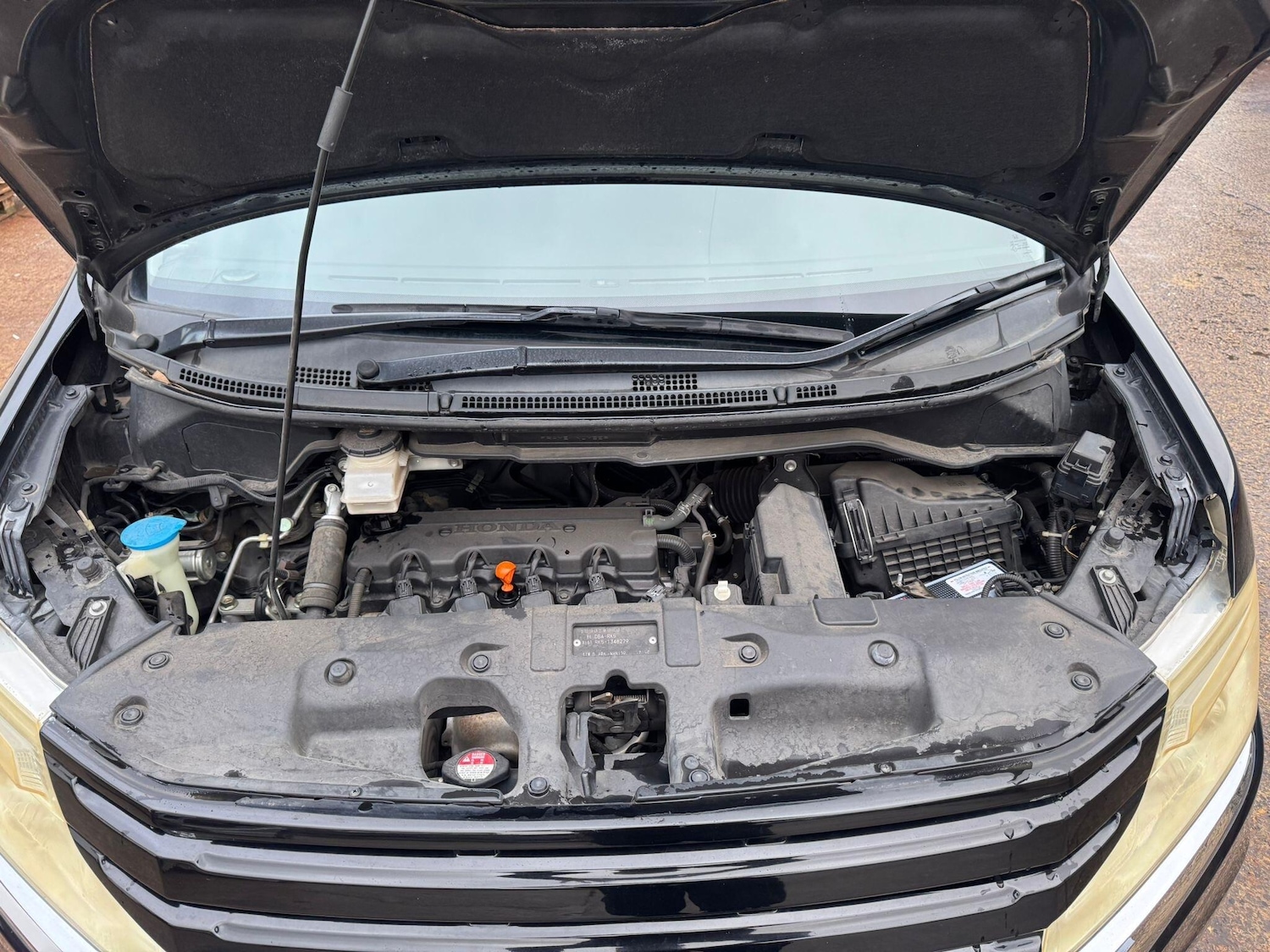 Used Honda Stepwagon for sale - 77291296: Photo 11