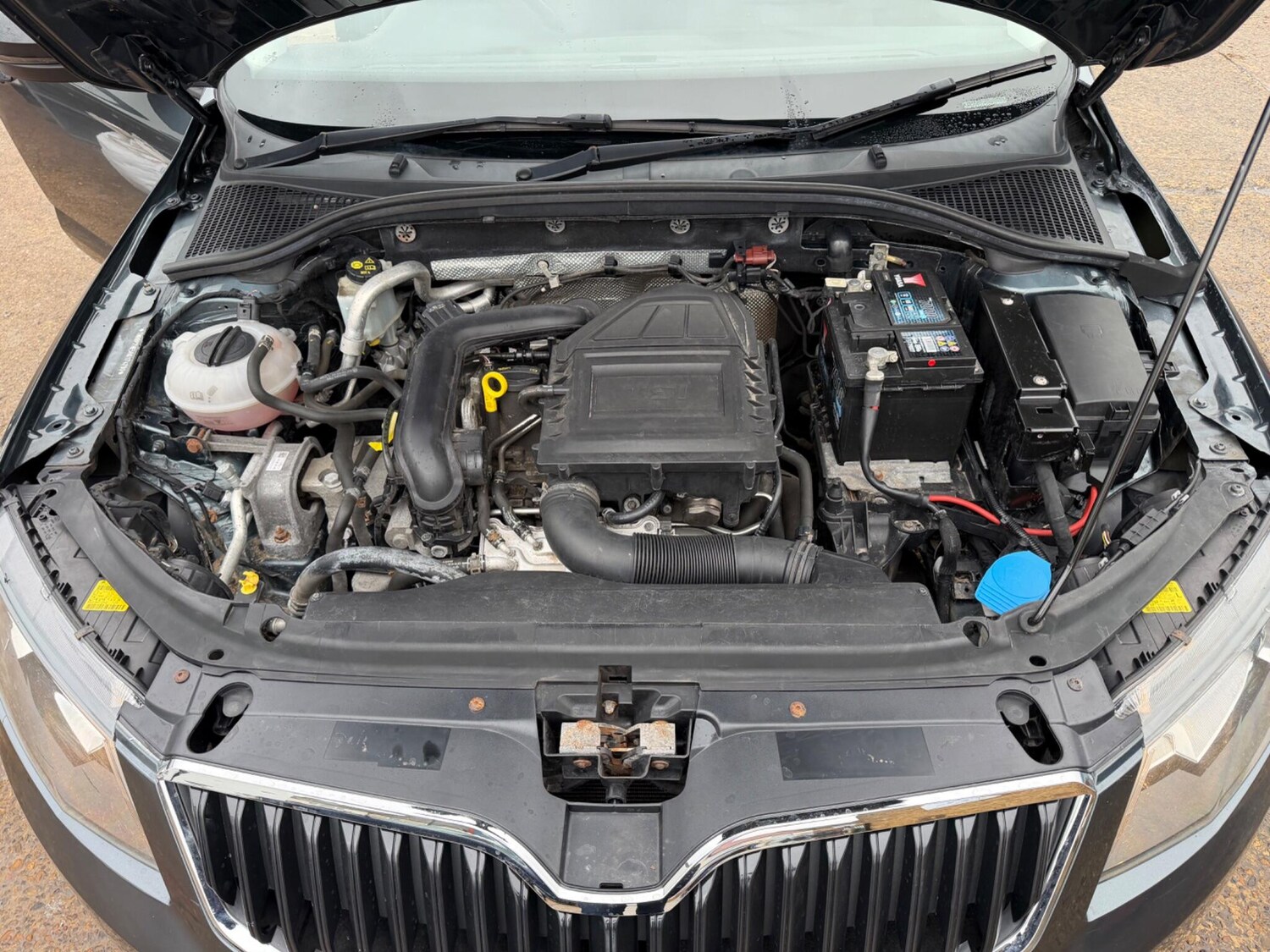 Used Skoda Octavia for sale - 77468762: Photo 40