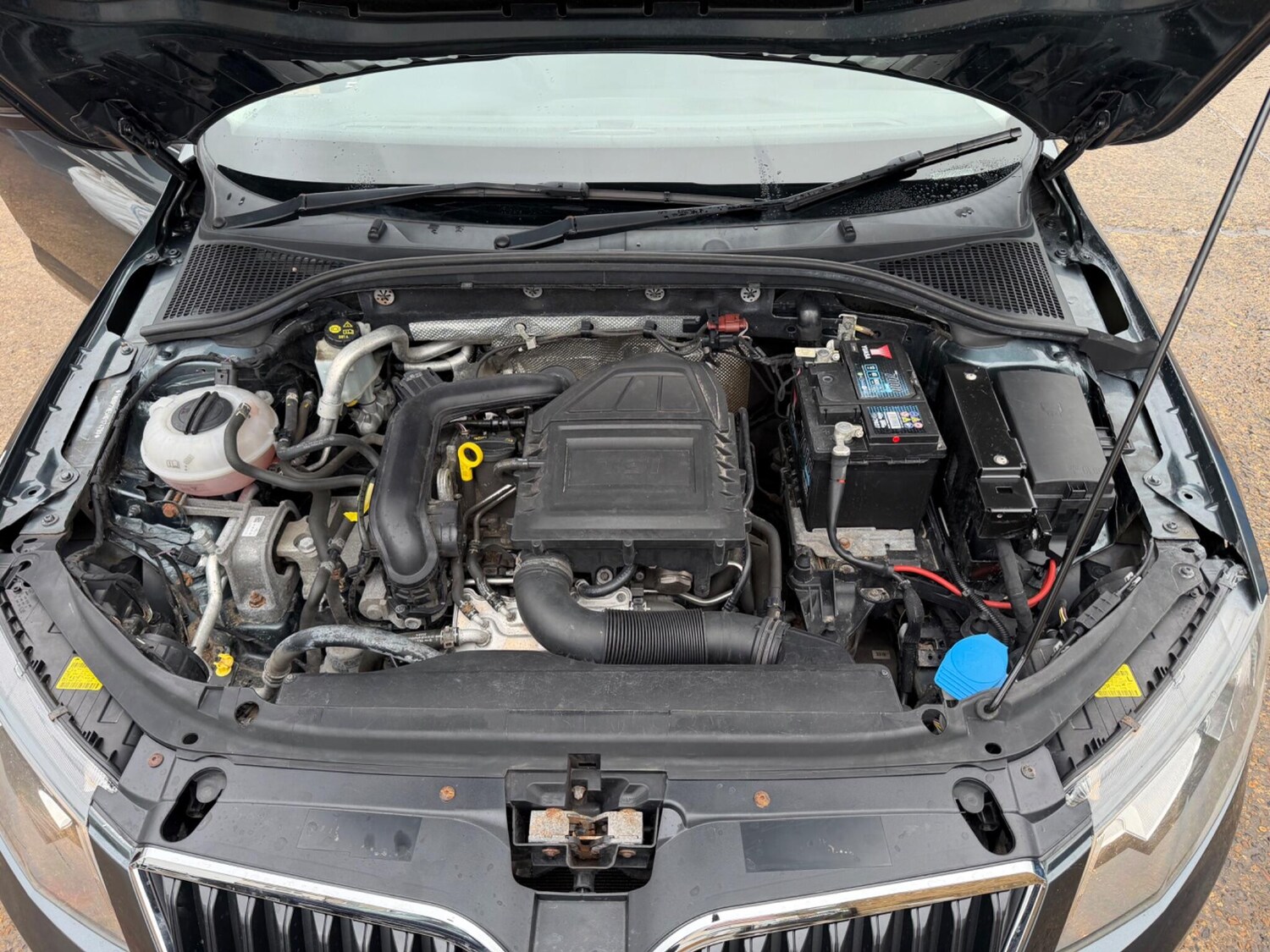 Used Skoda Octavia for sale - 77468762: Photo 41