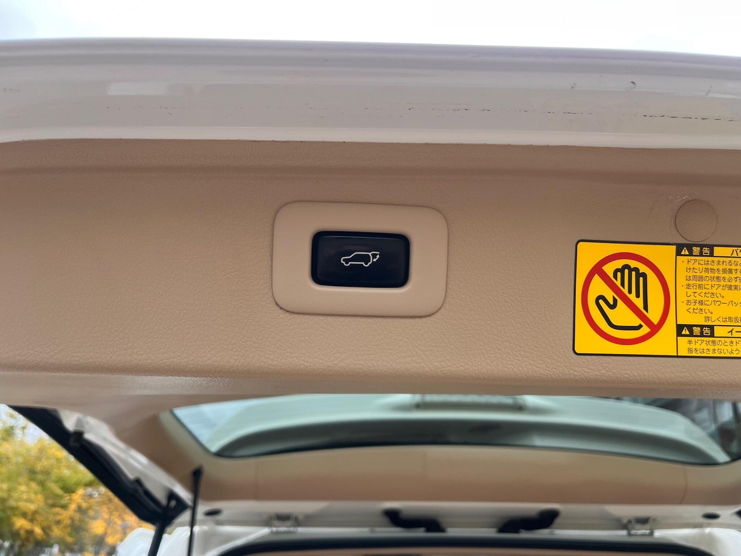 Used Toyota Alphard for sale - 76472449: Photo 50