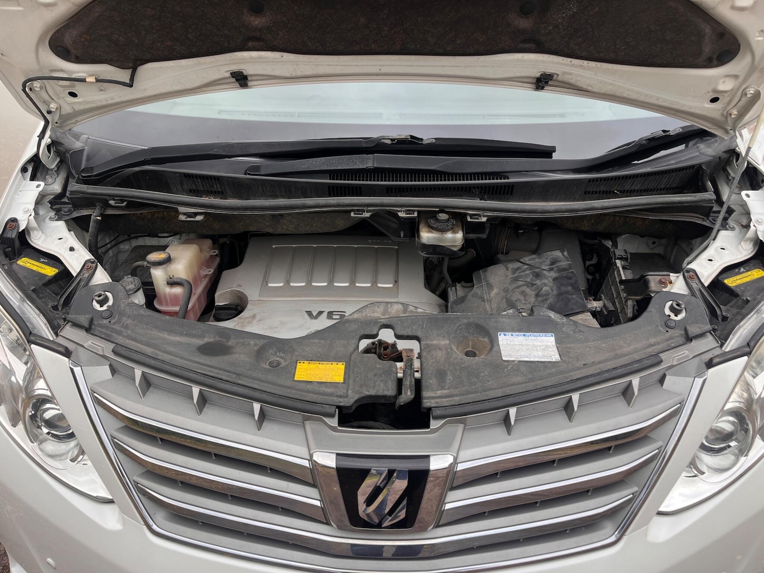 Used Toyota Alphard for sale - 76472449: Photo 52