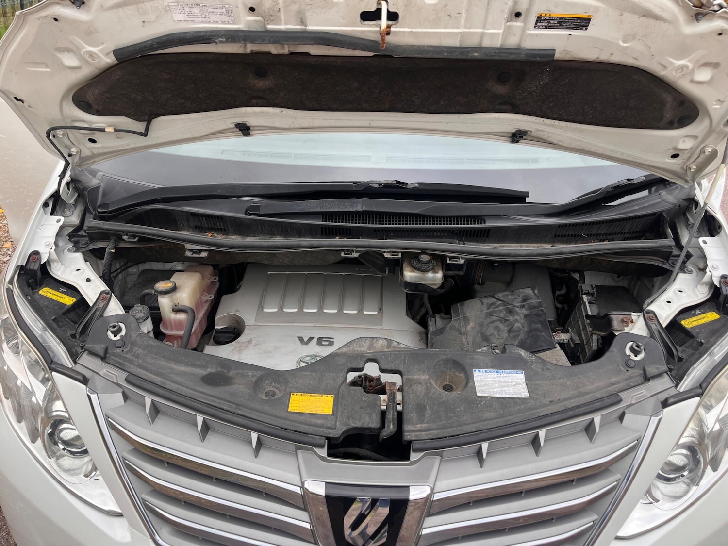 Used Toyota Alphard for sale - 76472449: Photo 53