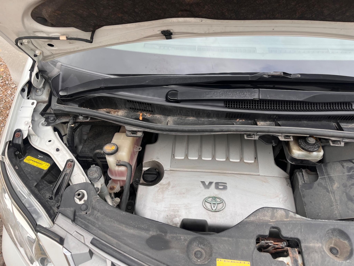 Used Toyota Alphard for sale - 76472449: Photo 54