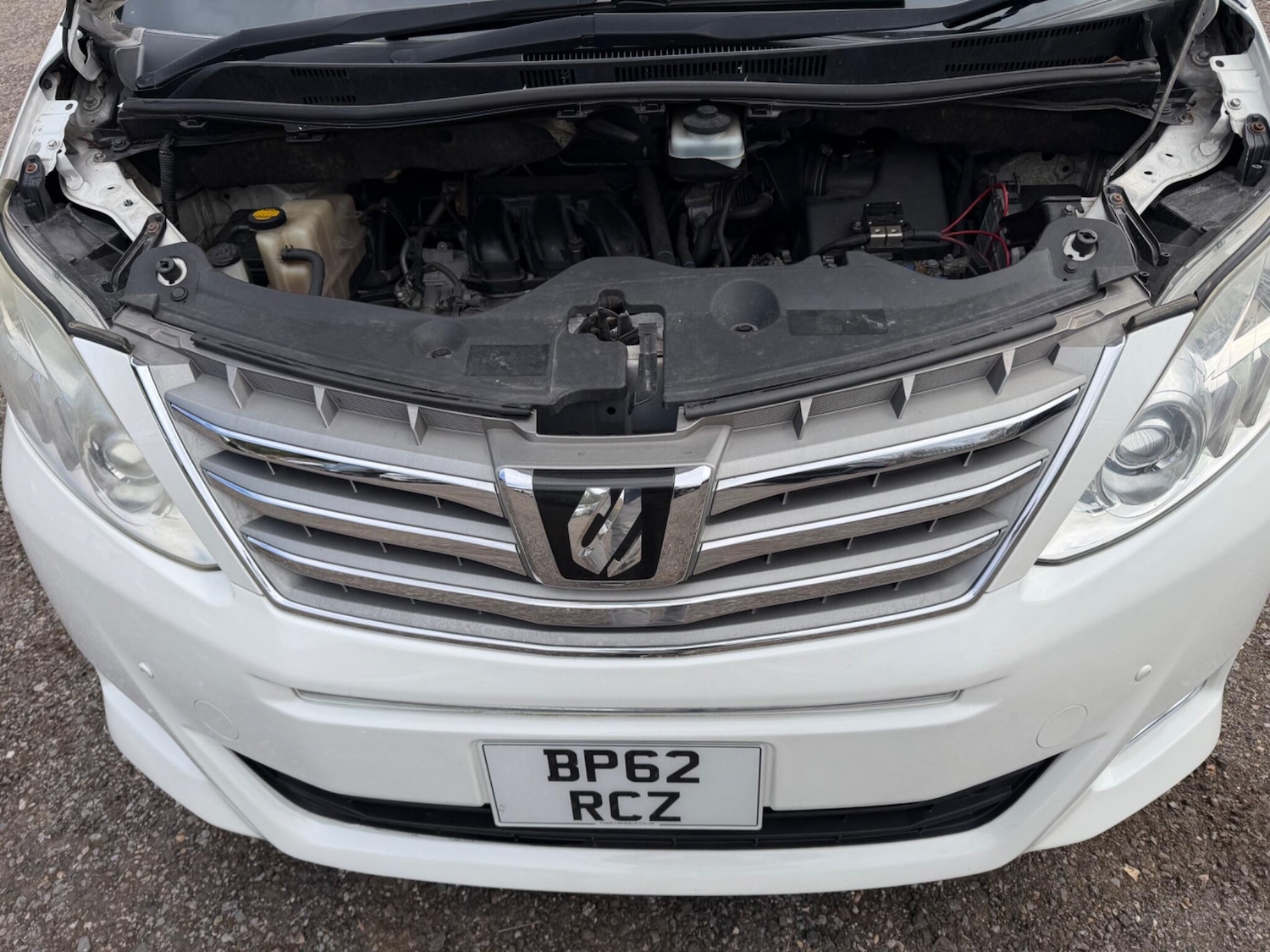 Used Toyota Alphard for sale - 78101499: Photo 56