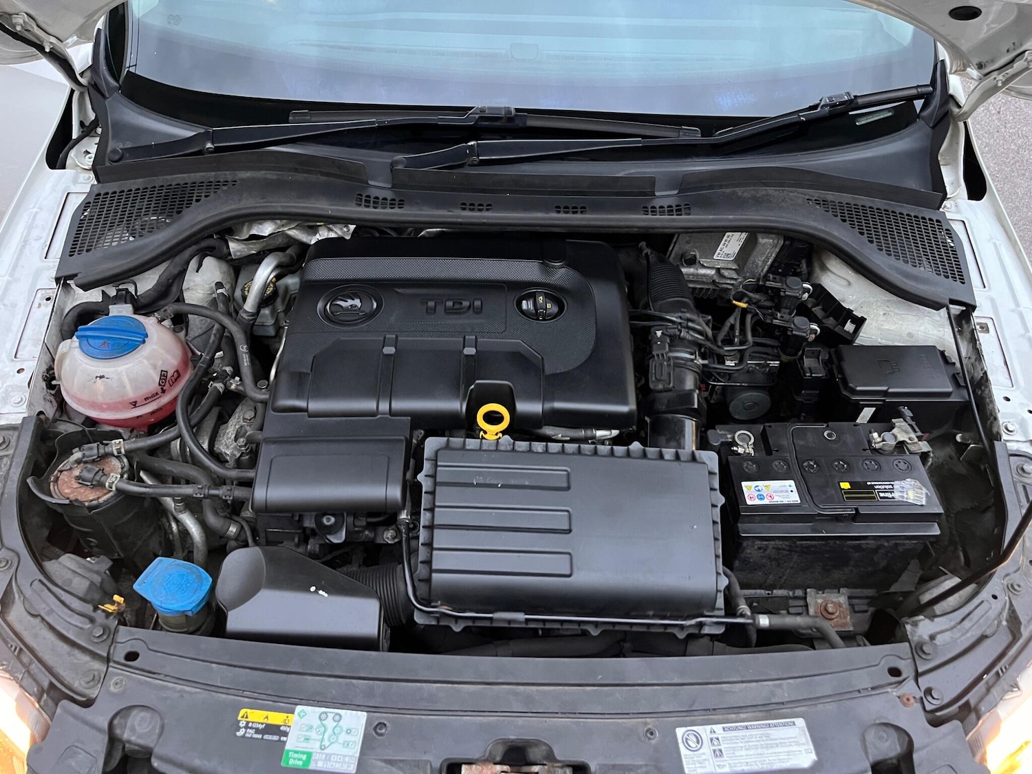 Used Skoda Rapid 2017 for sale - 77305482: Photo 37