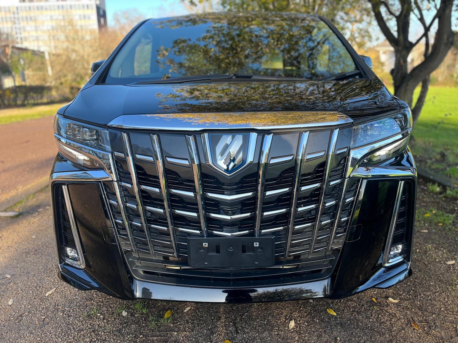 Used Toyota Alphard for sale - 76800813: Photo 22